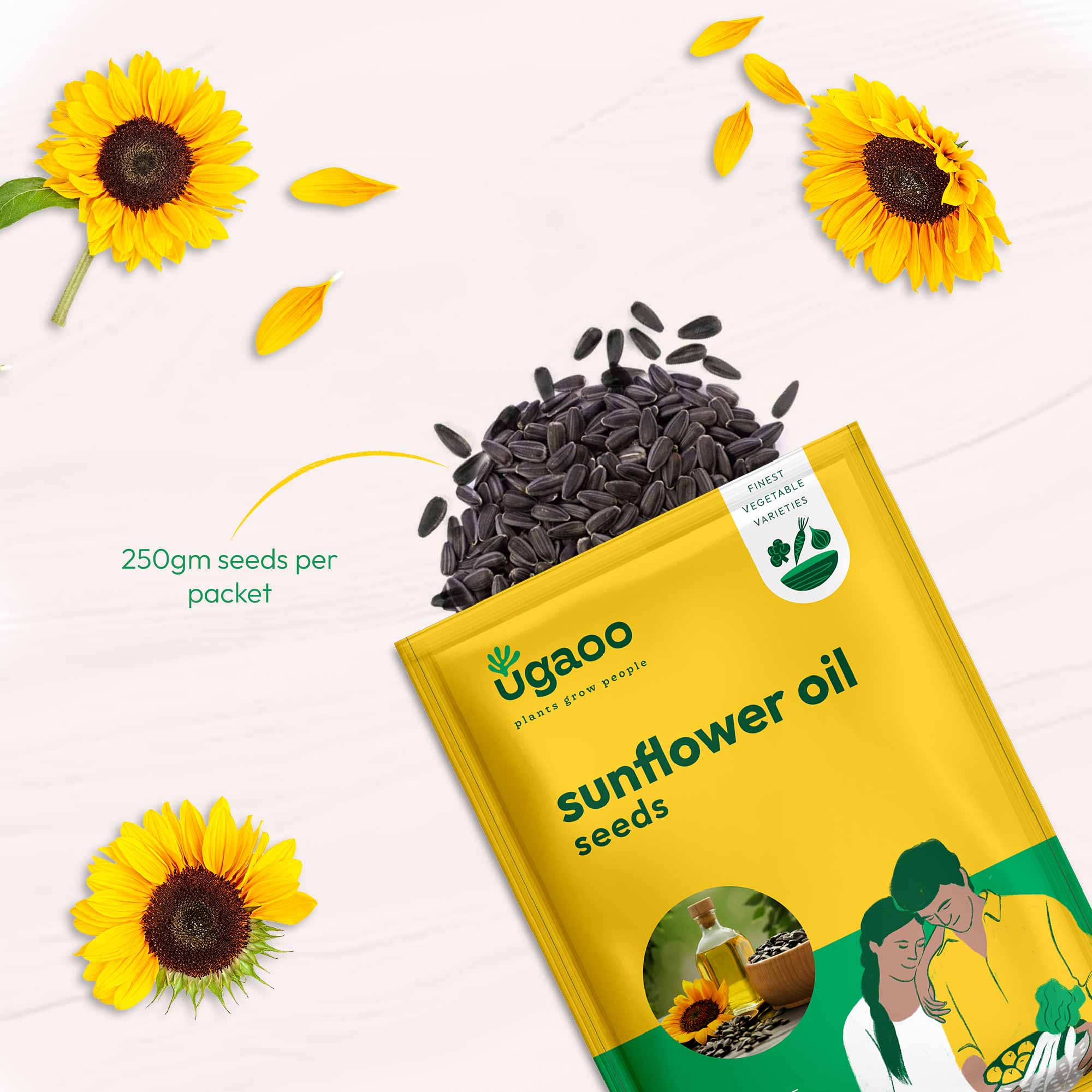 Sunflower Oil Seeds - Image 12