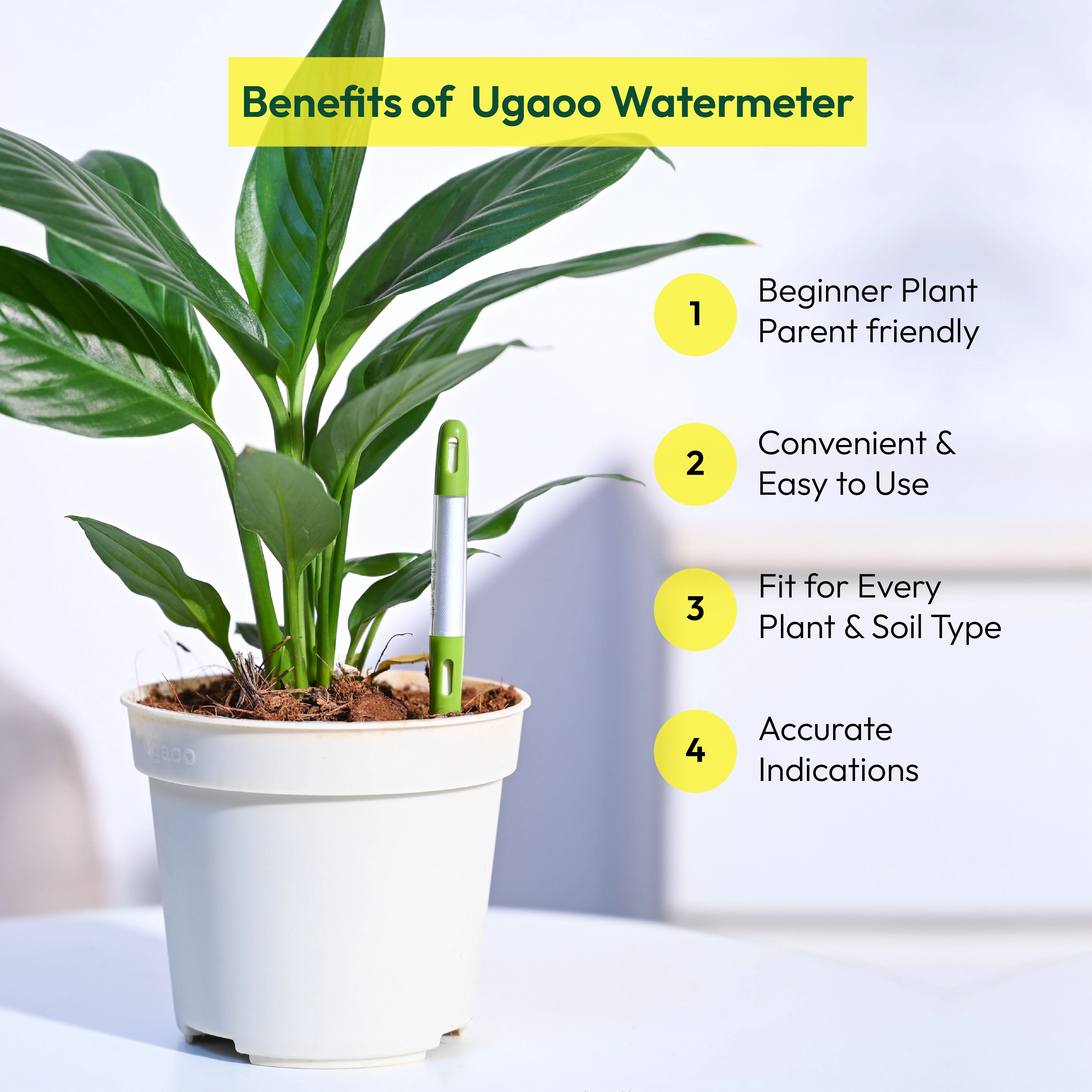 Sustee Watermeter (Set of 3) - Image 4