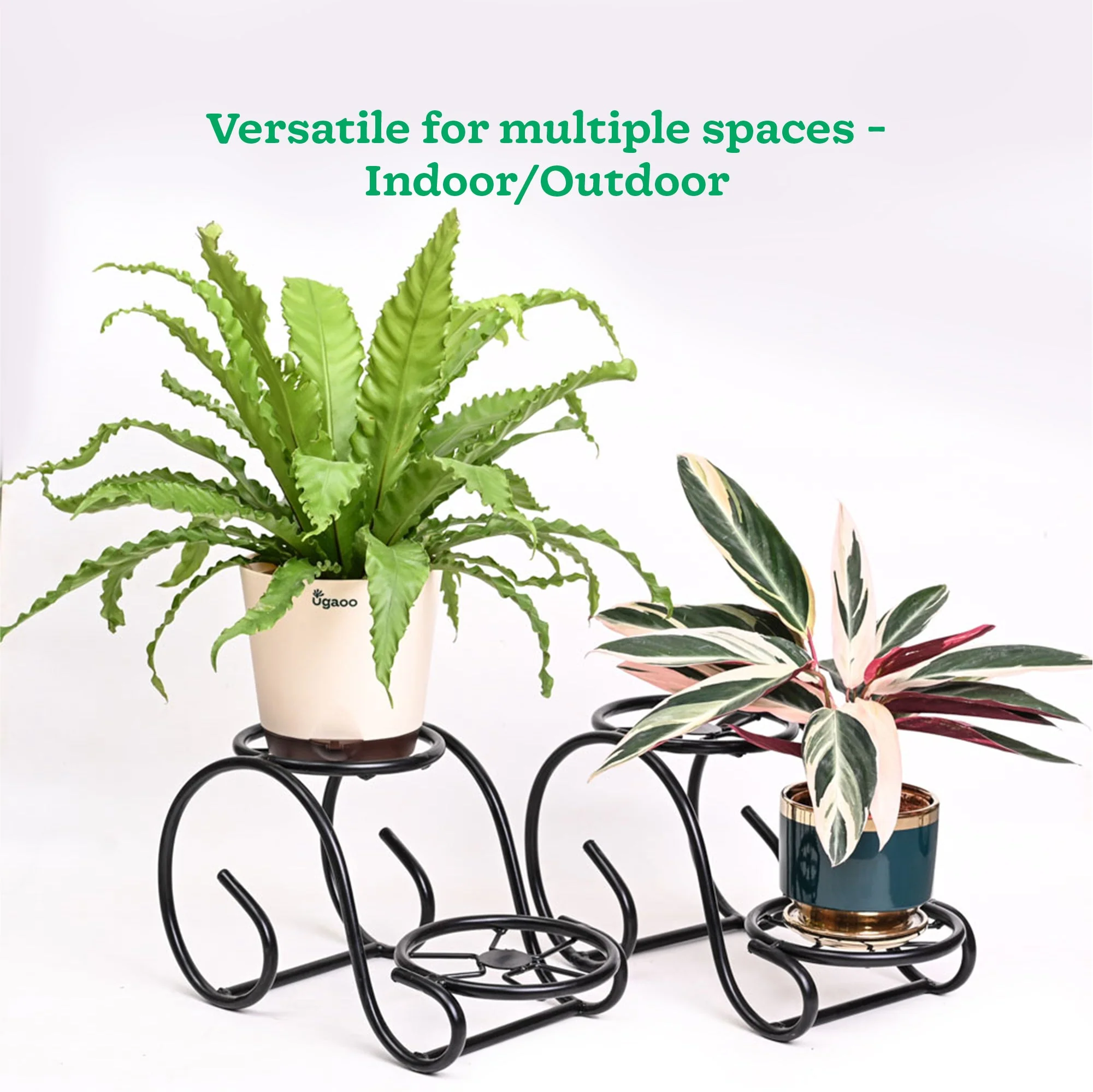 Swirl Decorative Plant stand- Set of 2- Black - Image 4