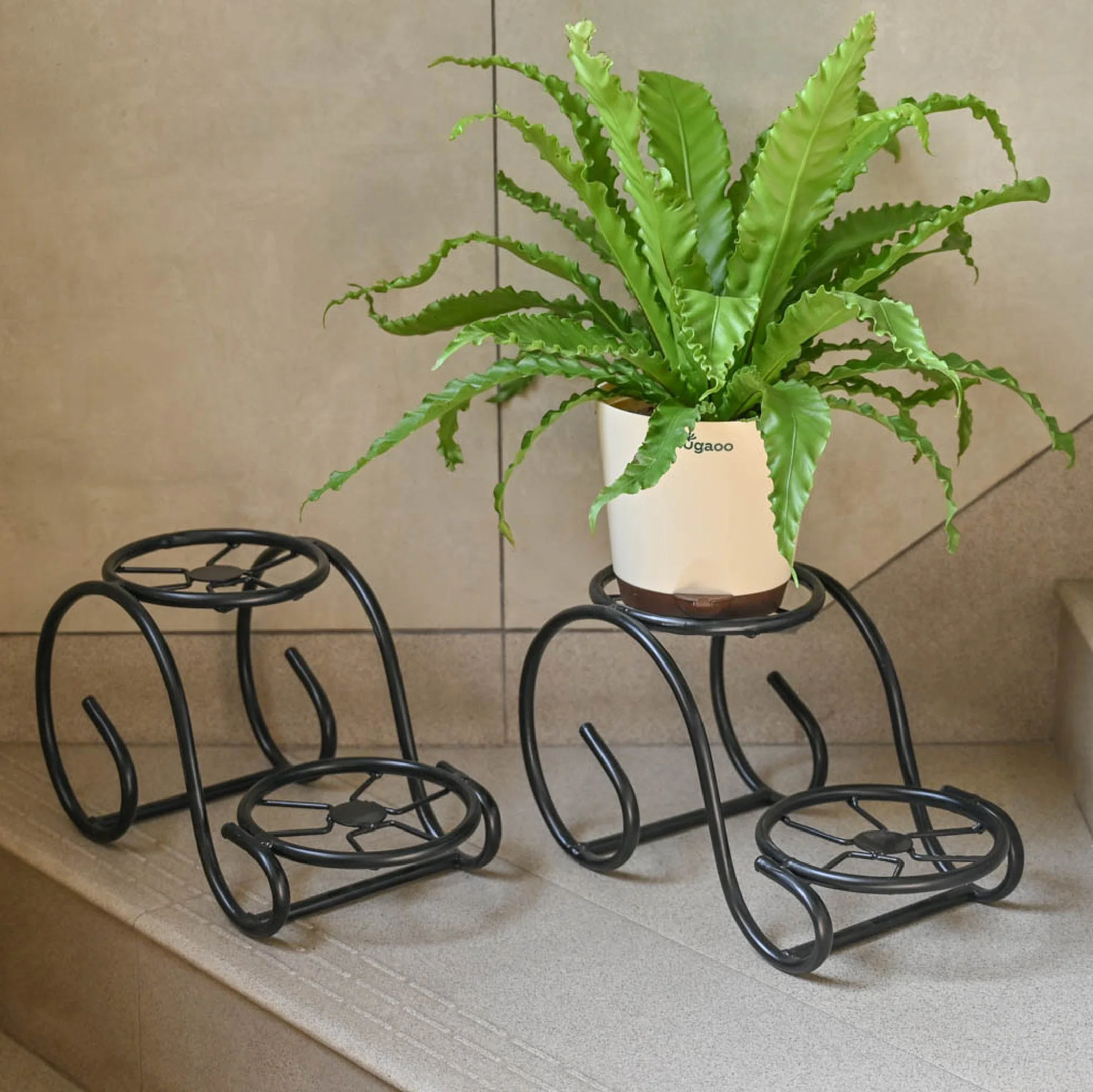 Swirl Decorative Plant stand- Set of 2- Black - Image 6