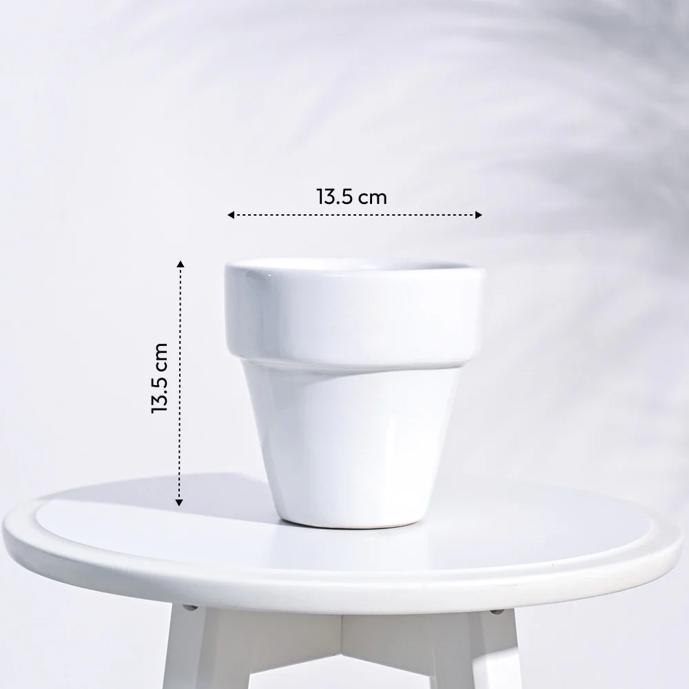 The Dream Ceramic Pot - Image 17