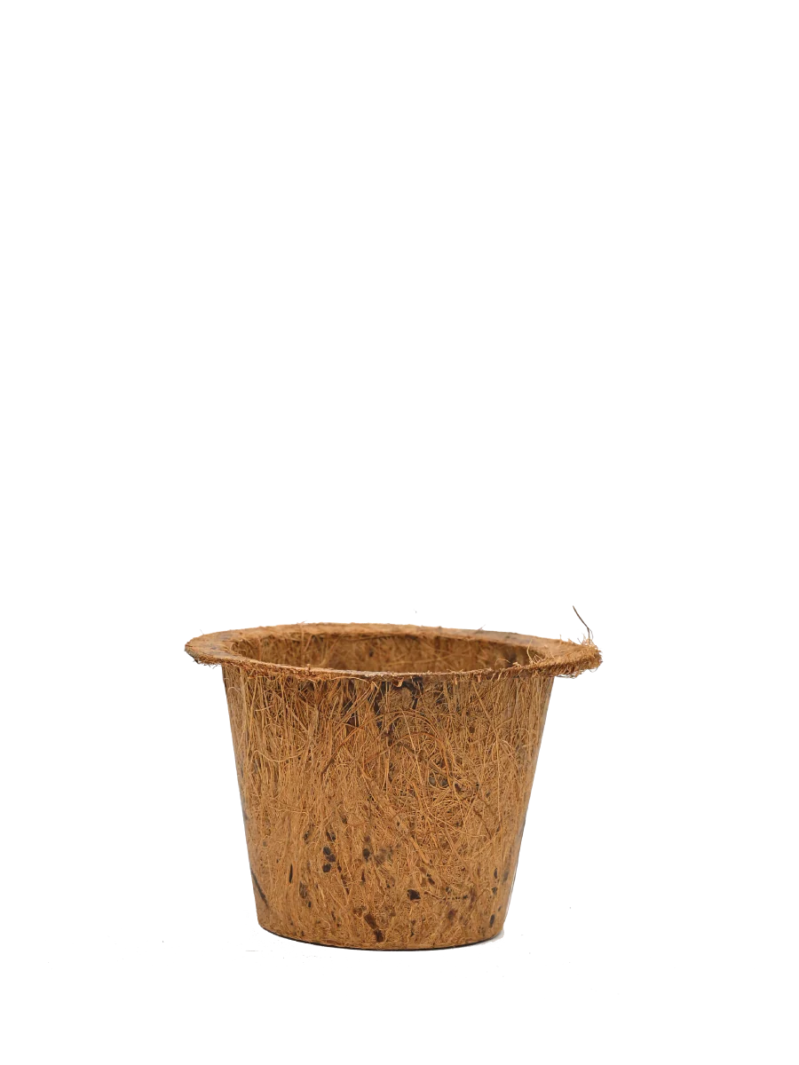 The Ugaoo Coco Coir Pots - Image 2