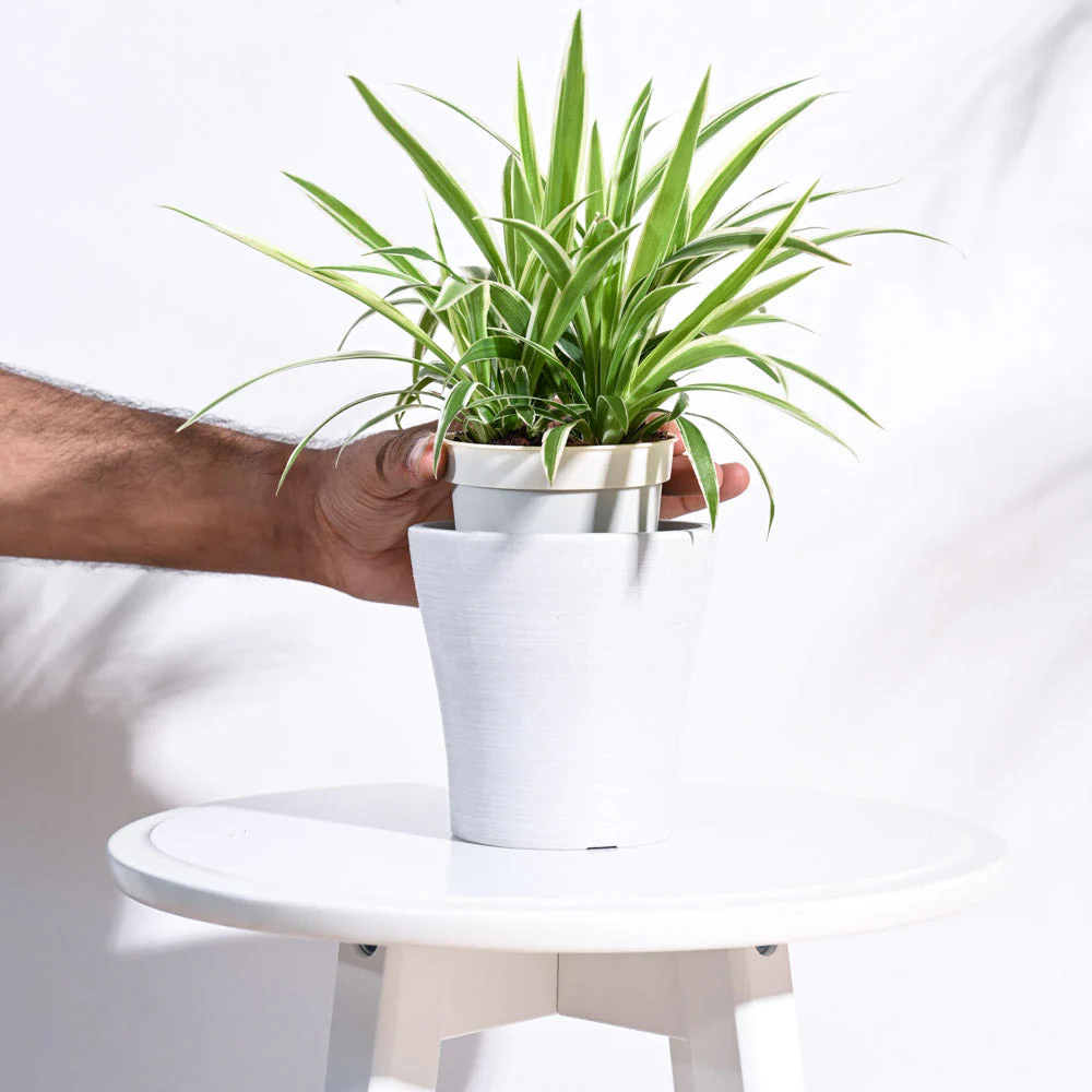 Tivoli Planter - Image 5