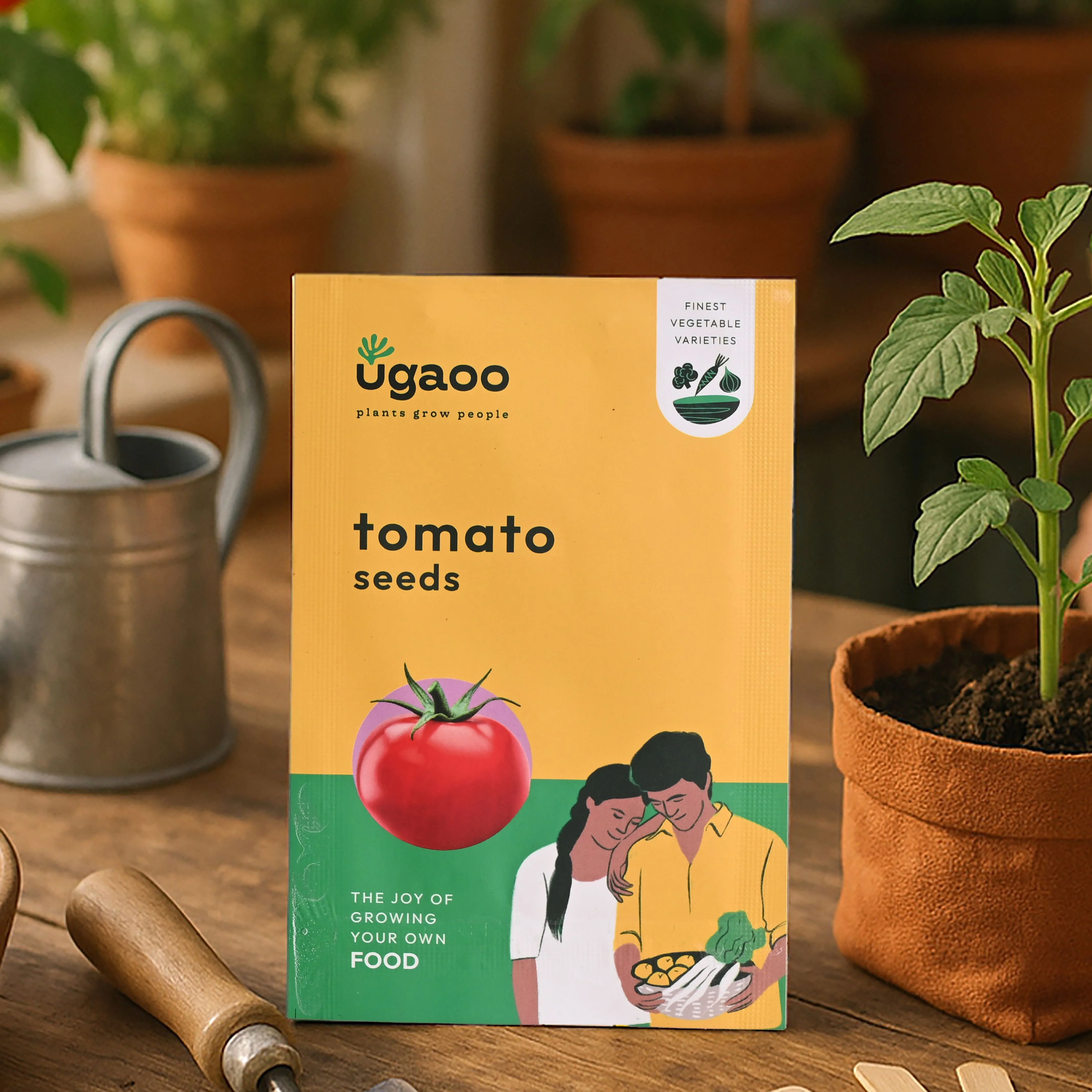 Tomato Seeds - Image 19