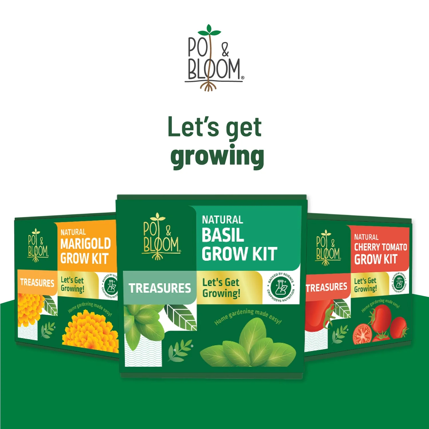 Treasures Basil Kit - Image 7