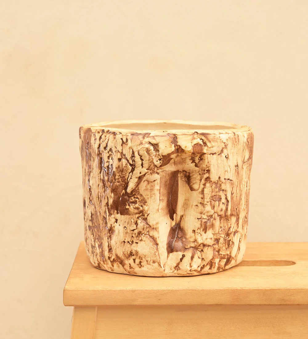 Tree Trunk Ceramic Planter - Image 4