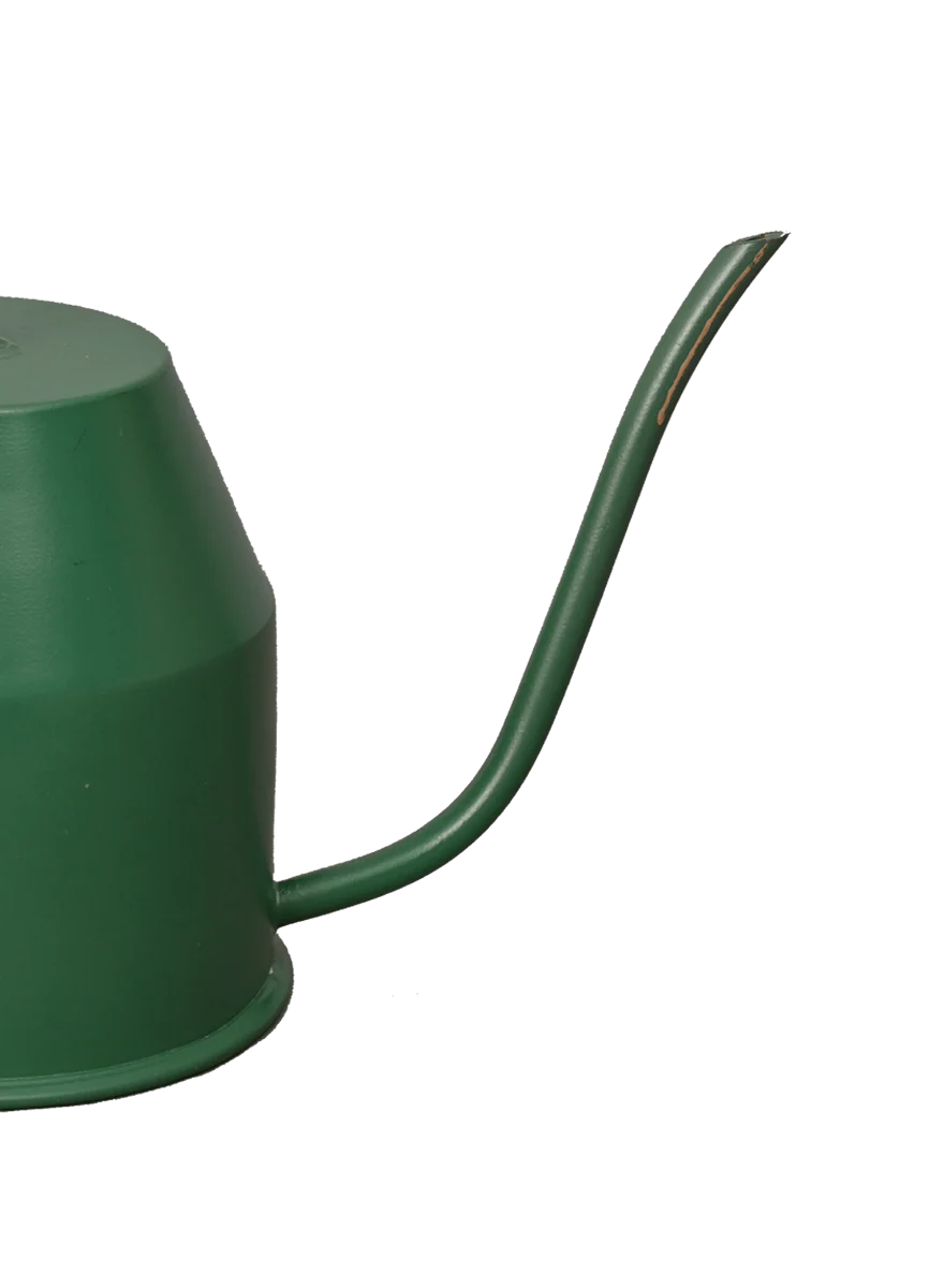 Tropical Forest Watering Can - Green & Gold - Image 5