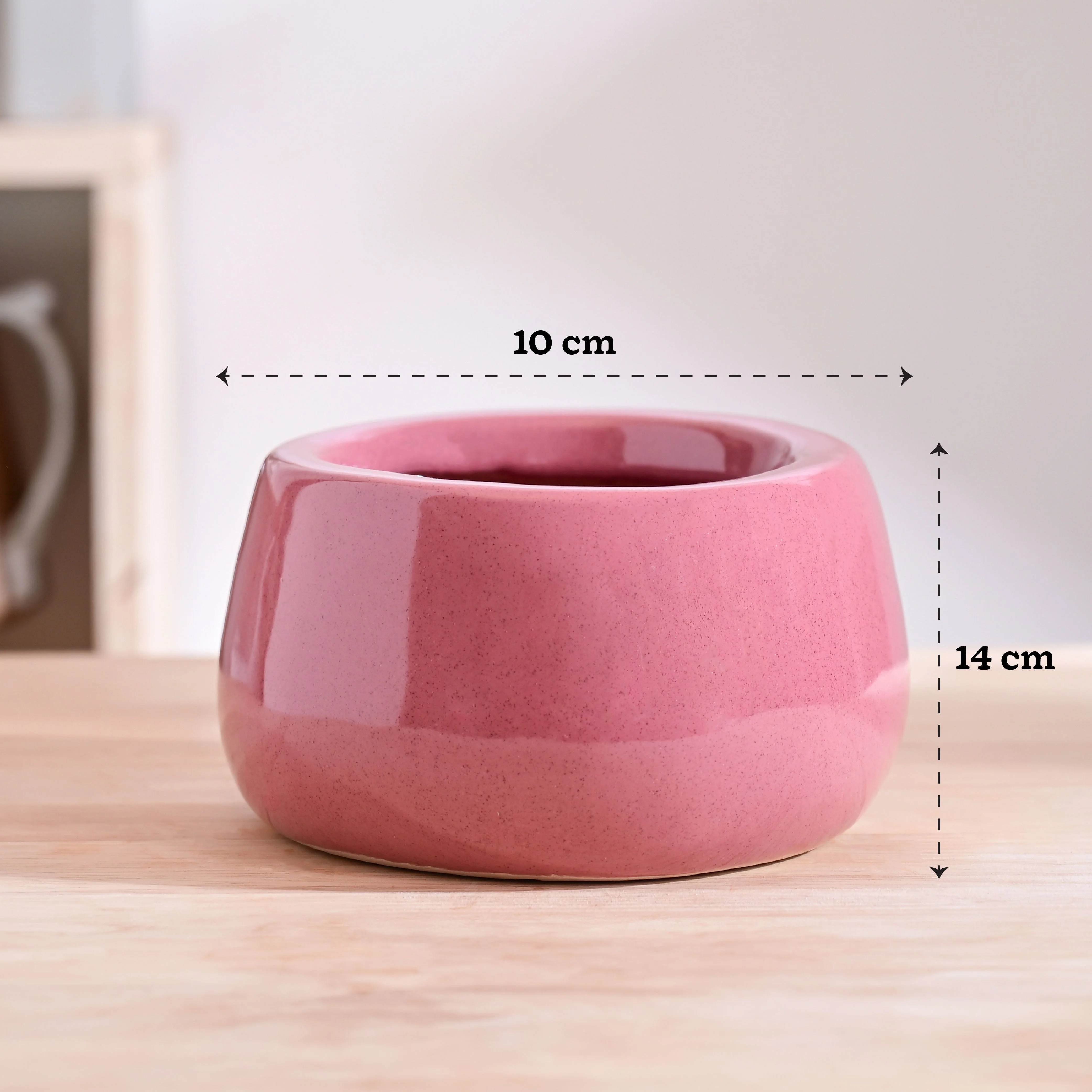 Tulip Fantasy Bowl Ceramic Planter - Image 63