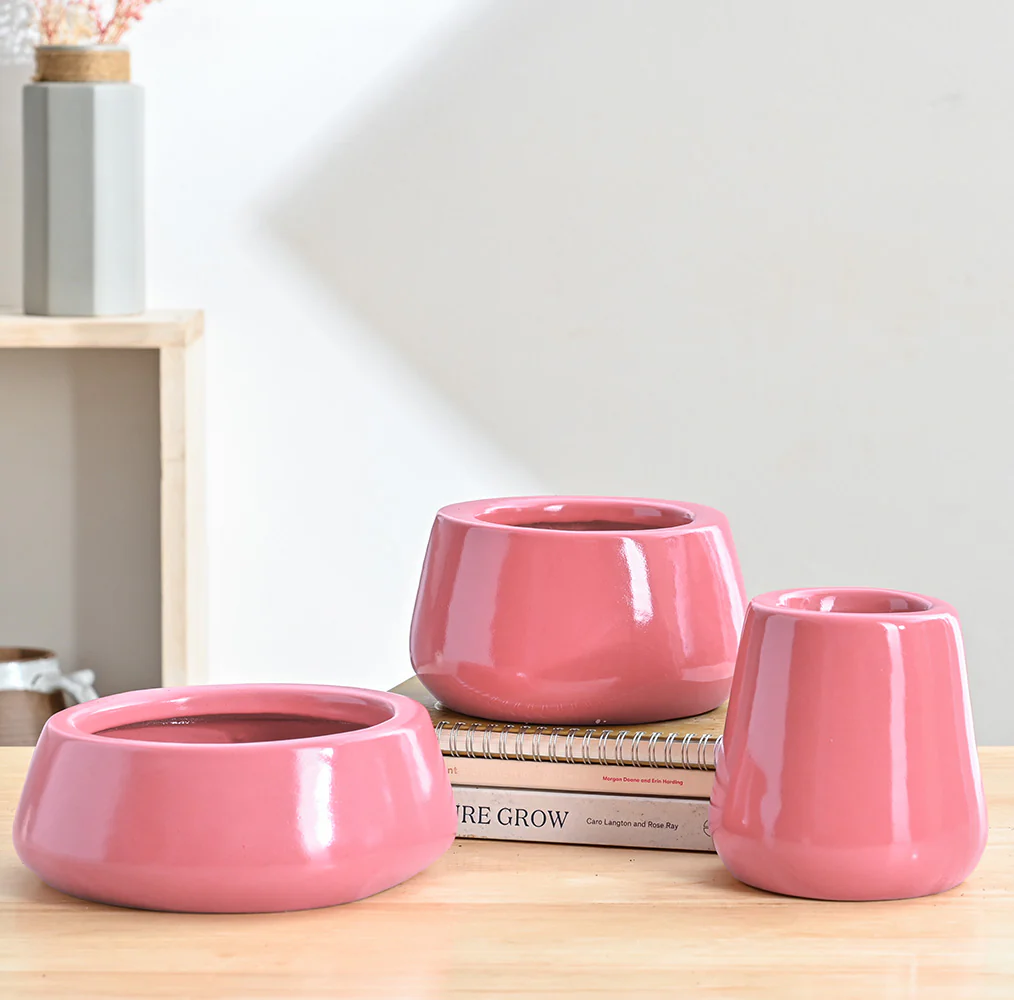 Tulip Fantasy Bundle - Magenta - Image 2