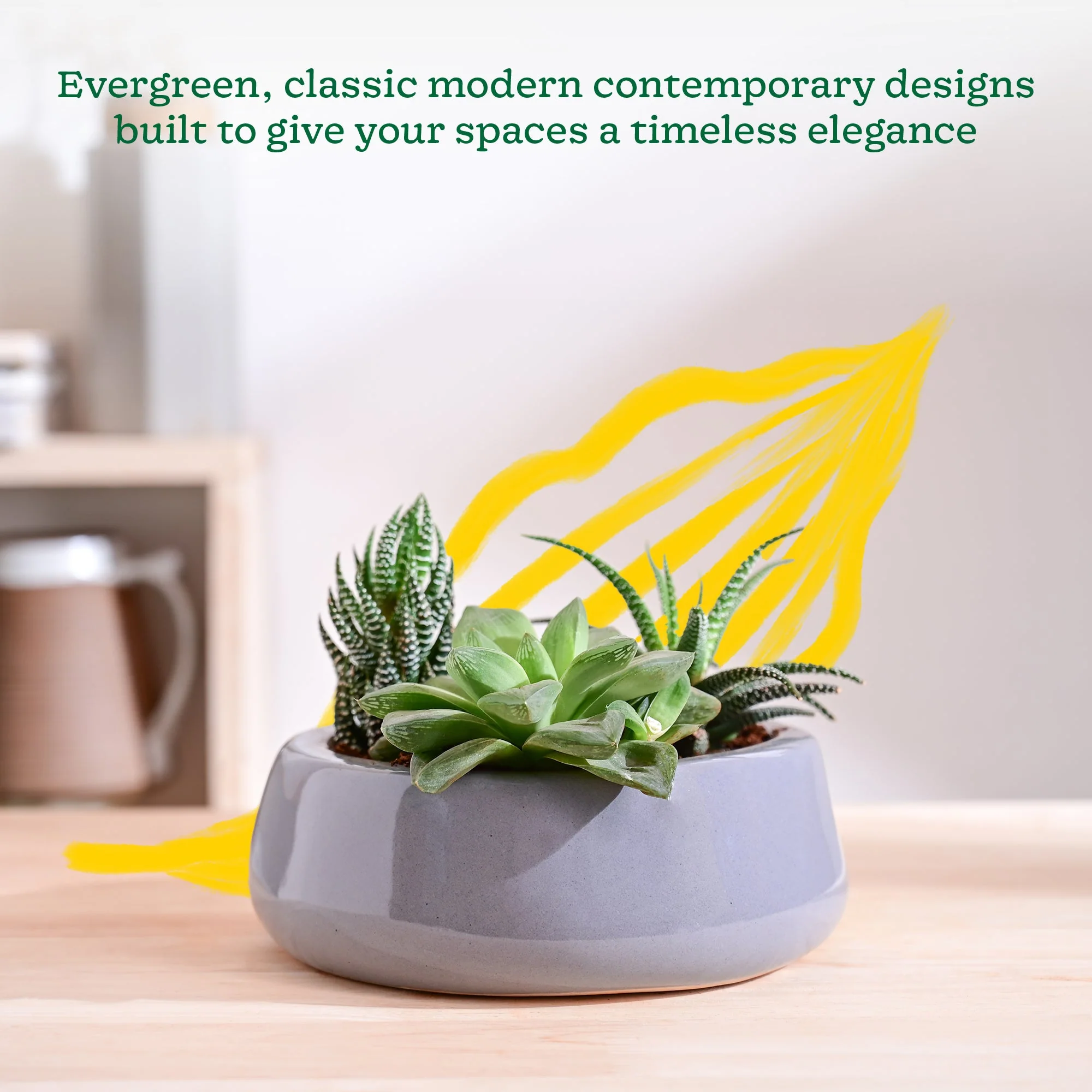 Tulip Fantasy Flat Ceramic Planter - Image 10