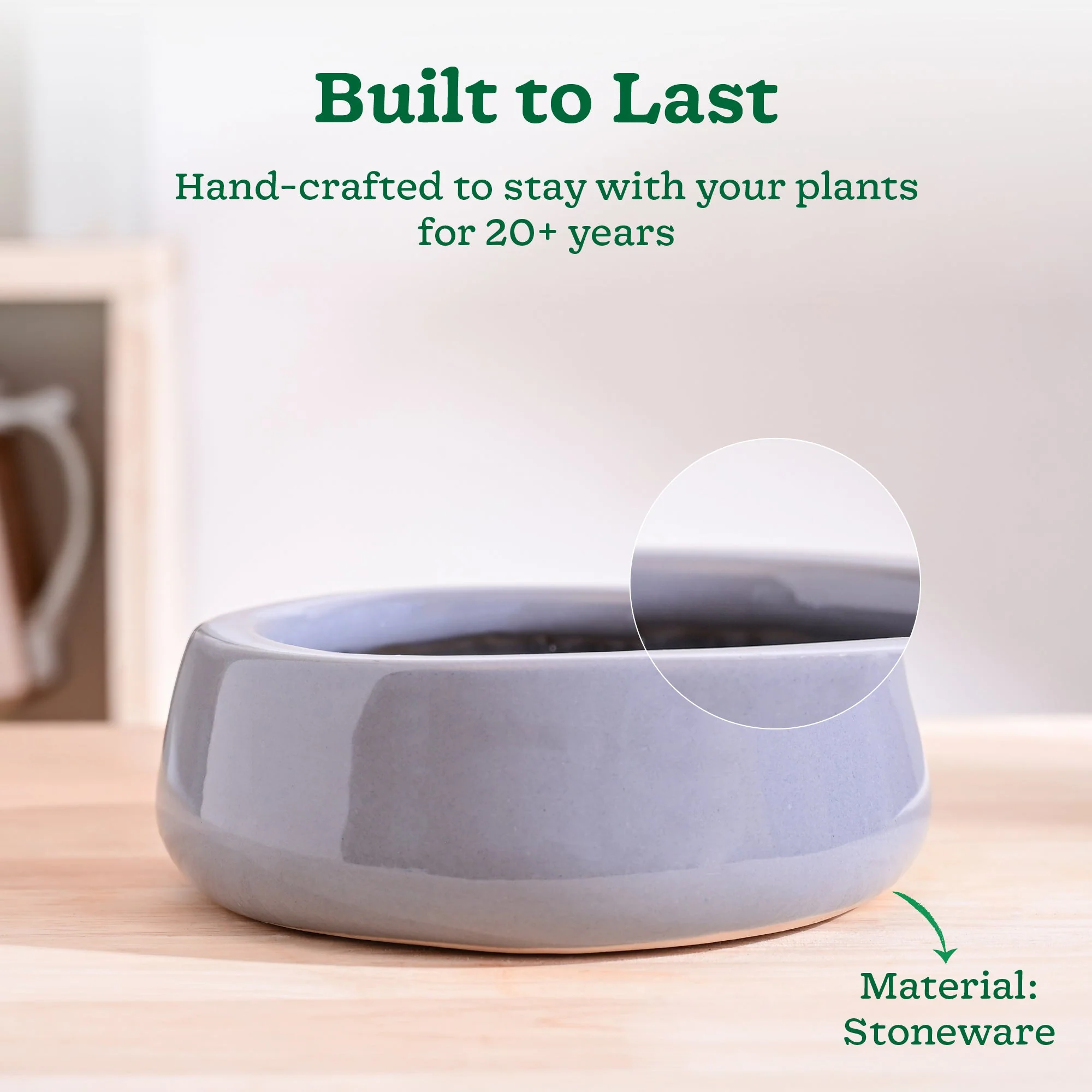 Tulip Fantasy Flat Ceramic Planter - Image 11