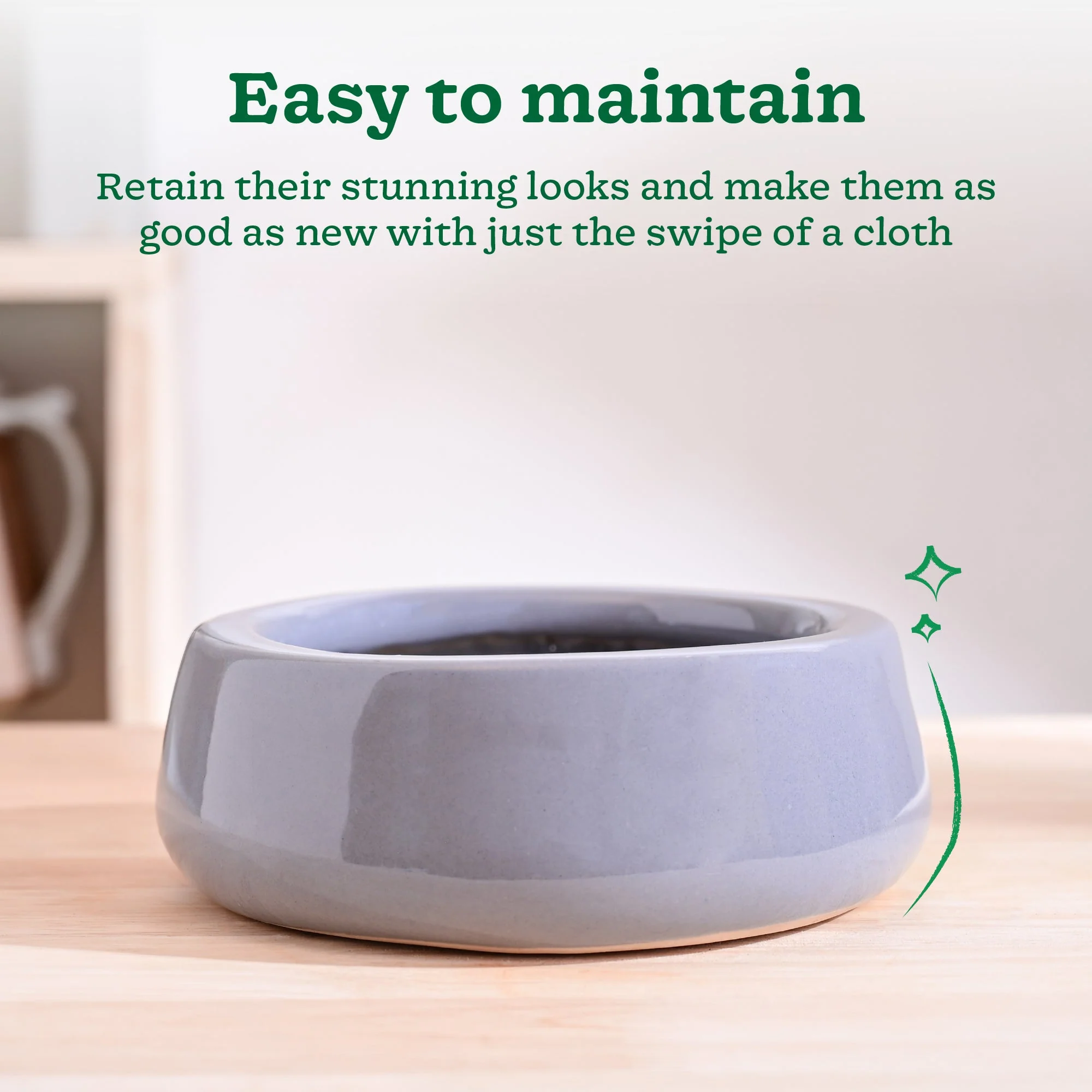 Tulip Fantasy Flat Ceramic Planter - Image 12