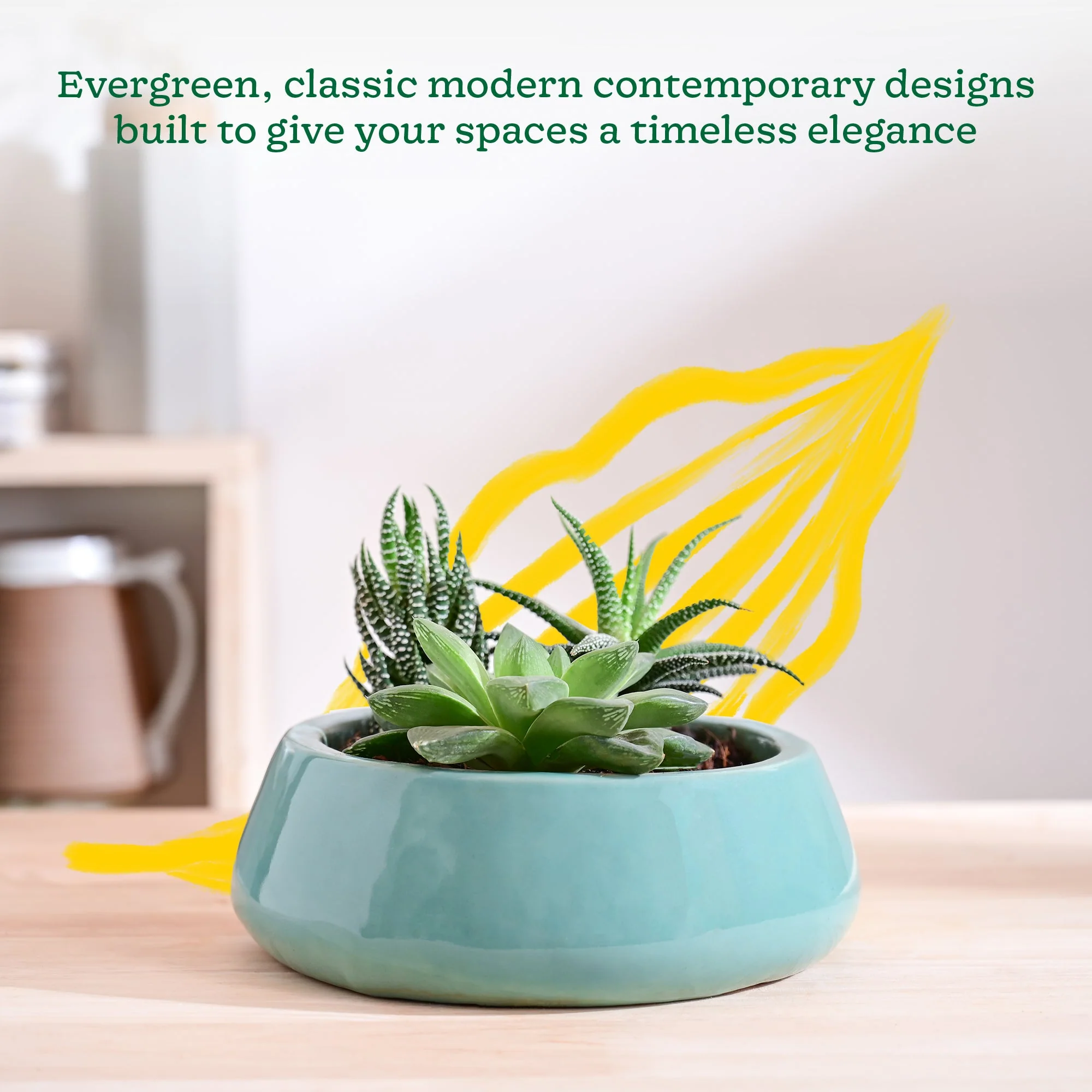 Tulip Fantasy Flat Ceramic Planter - Image 18
