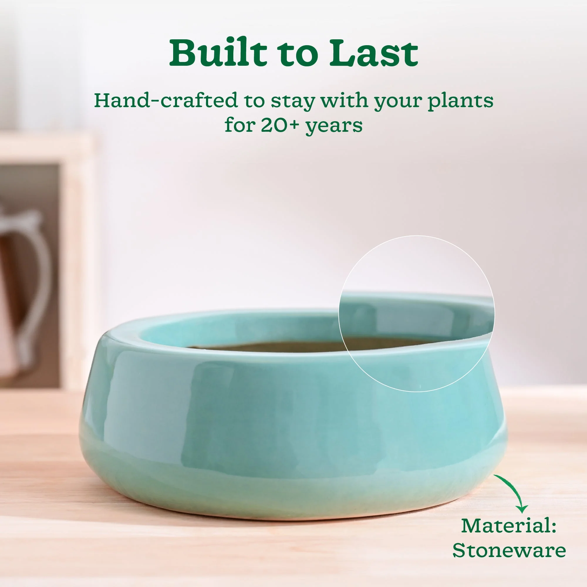 Tulip Fantasy Flat Ceramic Planter - Image 19