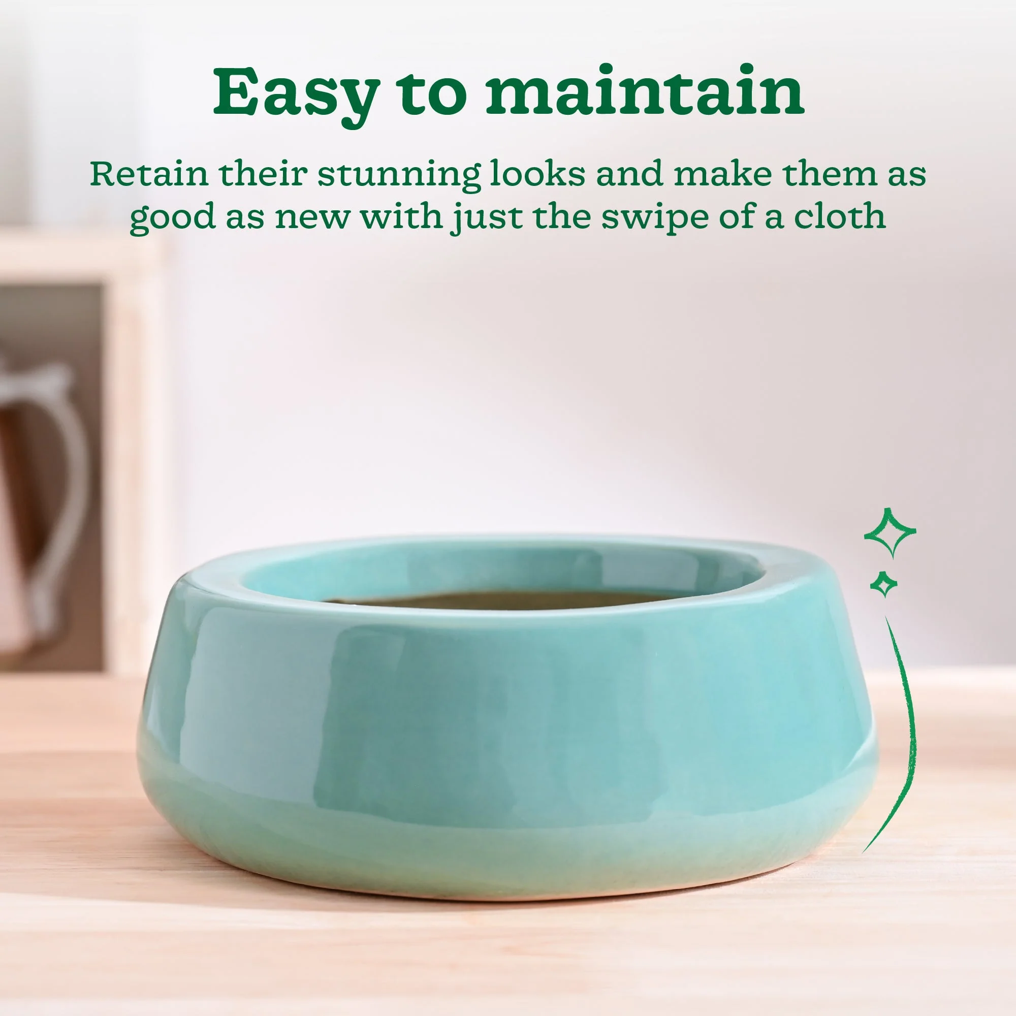Tulip Fantasy Flat Ceramic Planter - Image 20