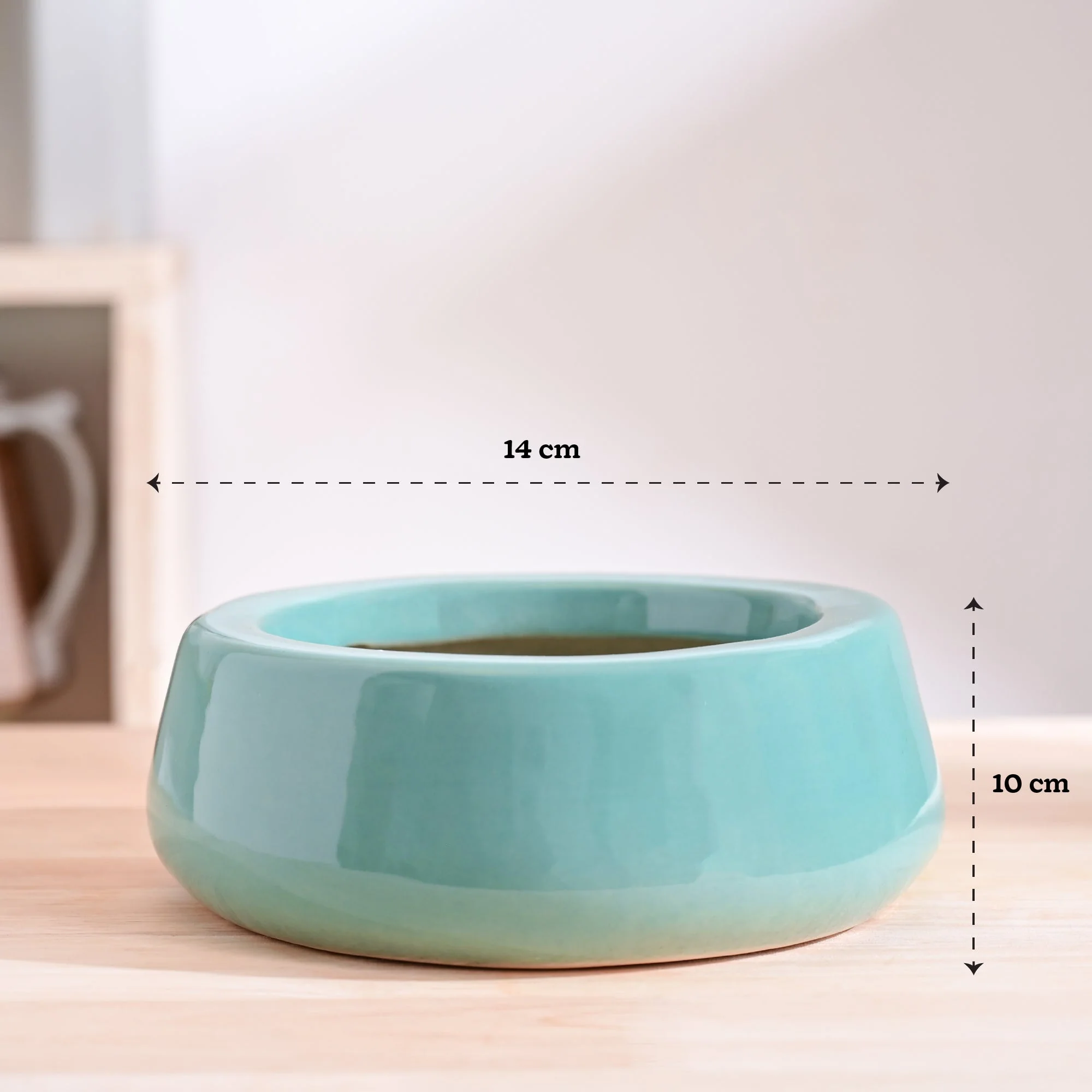 Tulip Fantasy Flat Ceramic Planter - Image 24