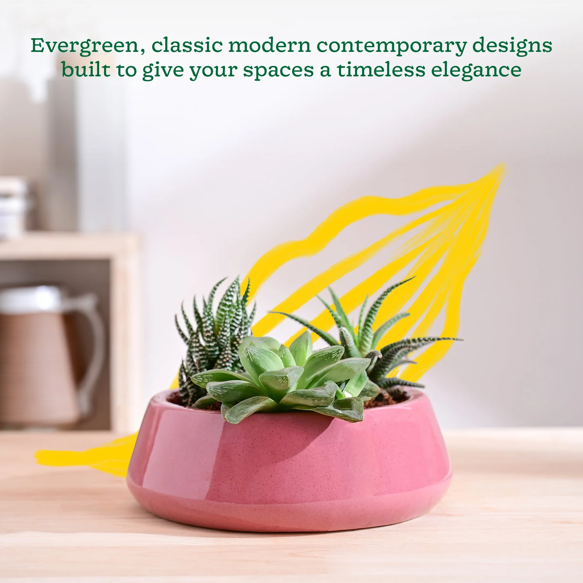 Tulip Fantasy Flat Ceramic Planter - Image 26