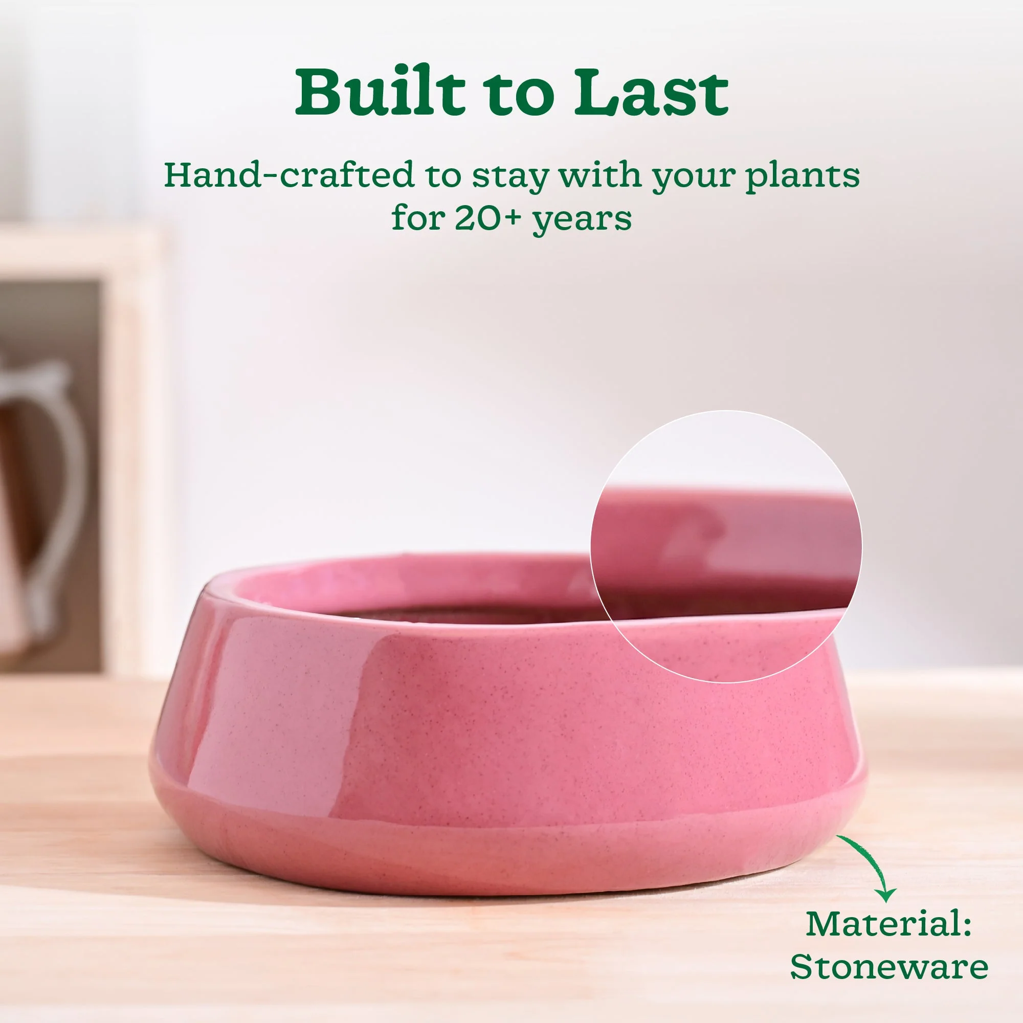 Tulip Fantasy Flat Ceramic Planter - Image 27