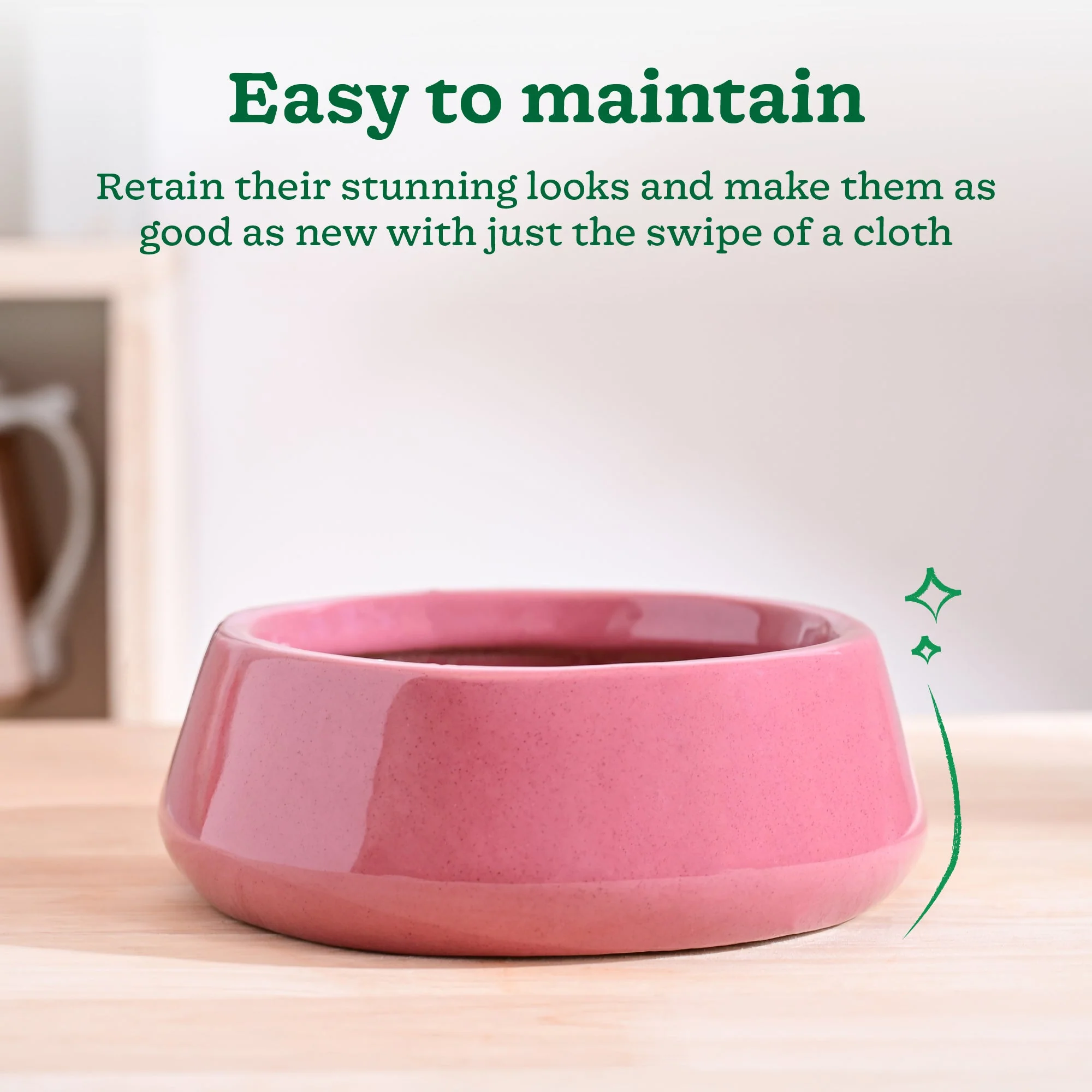 Tulip Fantasy Flat Ceramic Planter - Image 28