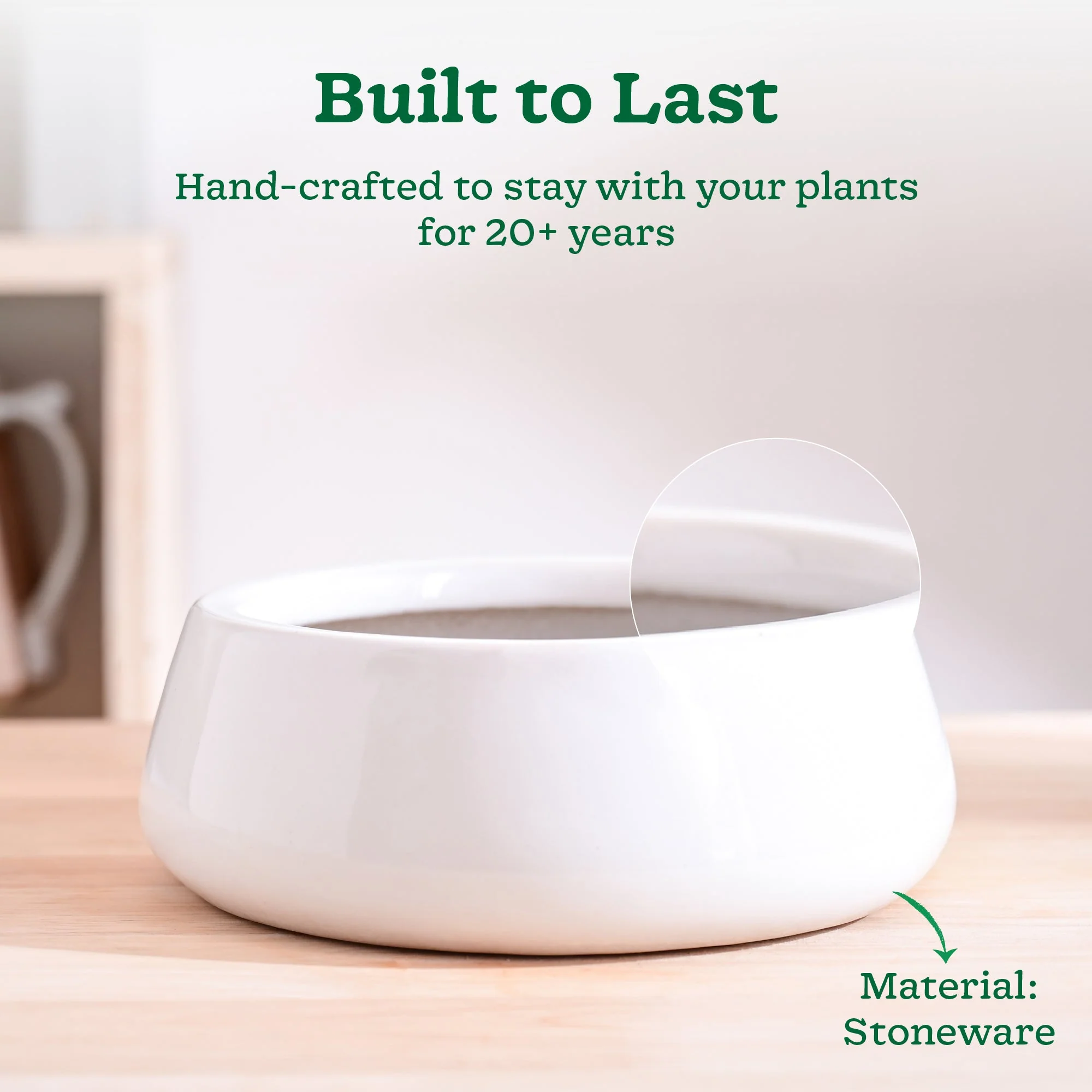 Tulip Fantasy Flat Ceramic Planter - Image 3