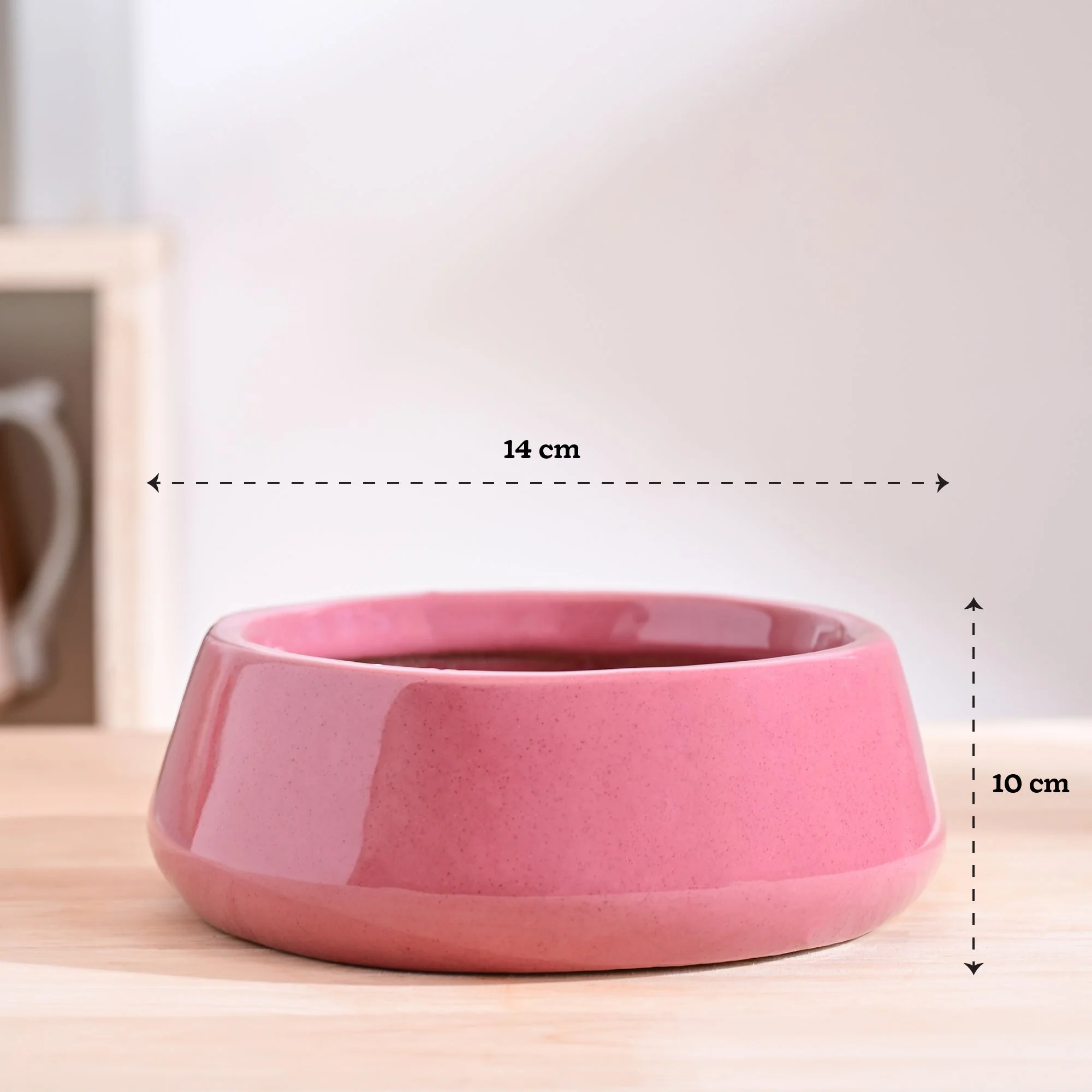 Tulip Fantasy Flat Ceramic Planter - Image 32