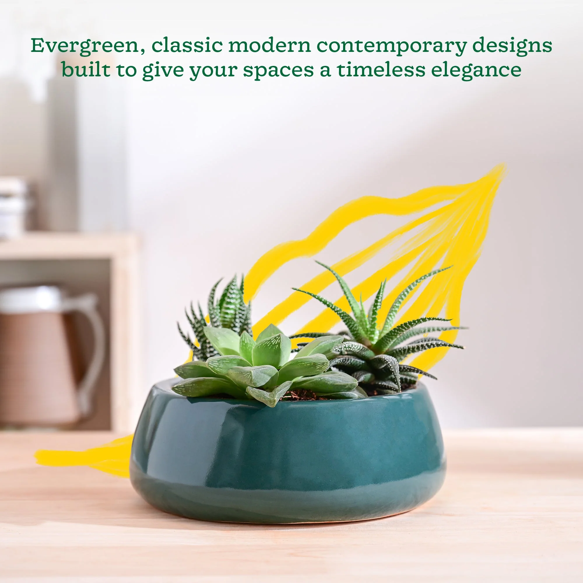 Tulip Fantasy Flat Ceramic Planter - Image 34