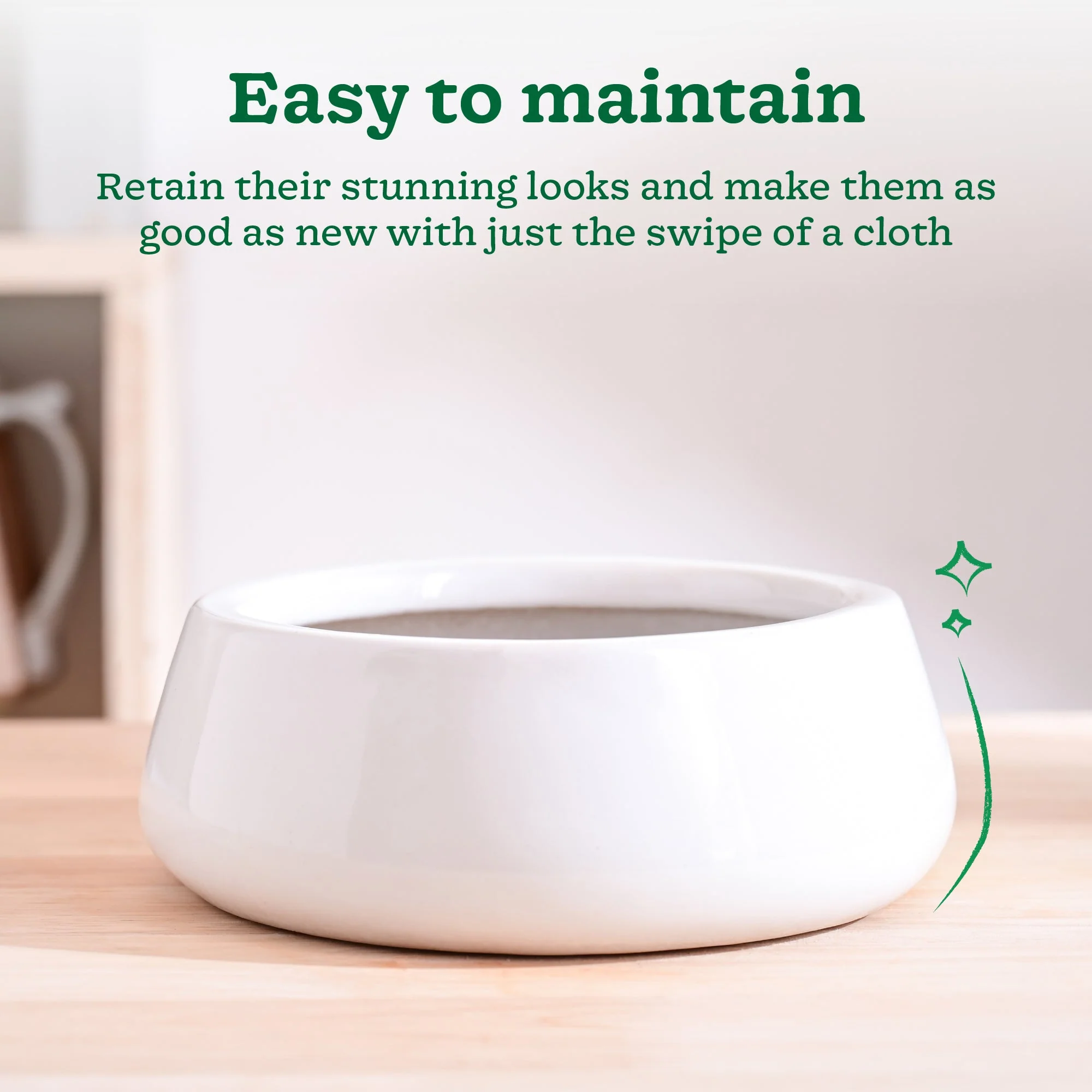 Tulip Fantasy Flat Ceramic Planter - Image 4