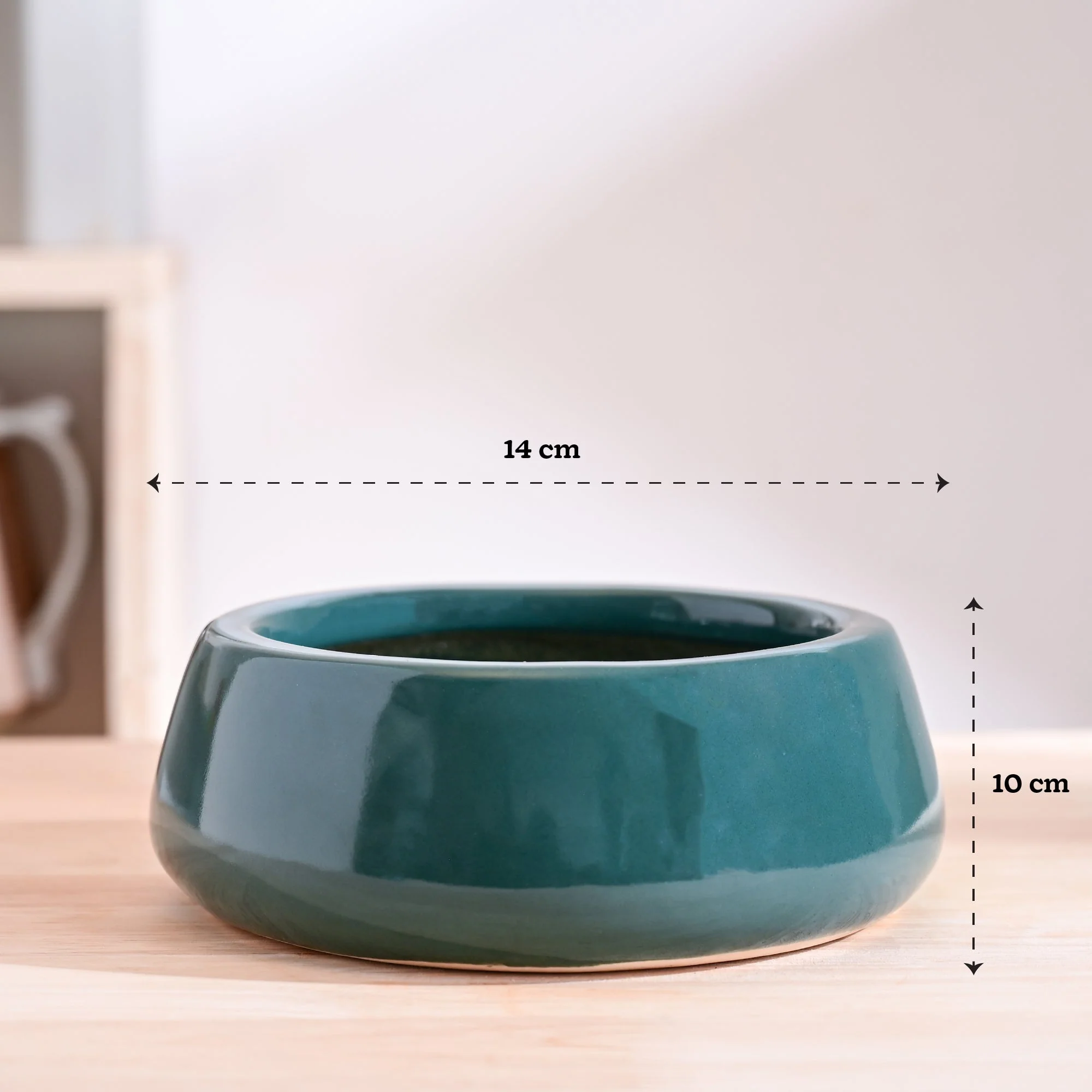 Tulip Fantasy Flat Ceramic Planter - Image 40