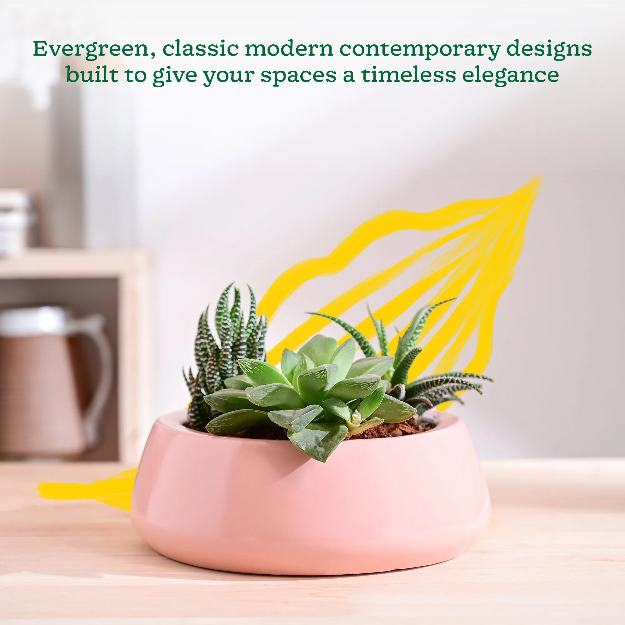 Tulip Fantasy Flat Ceramic Planter - Image 42