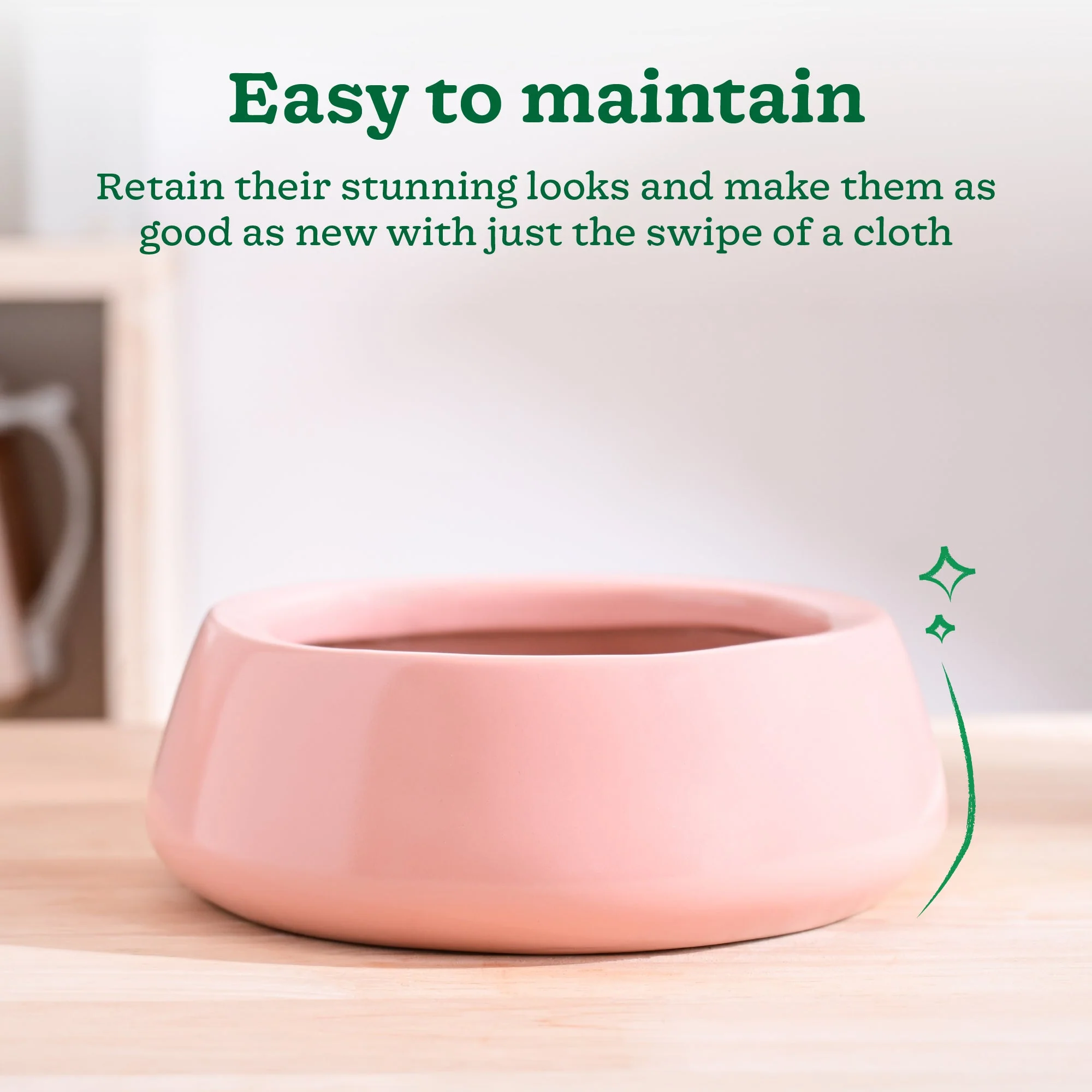Tulip Fantasy Flat Ceramic Planter - Image 44