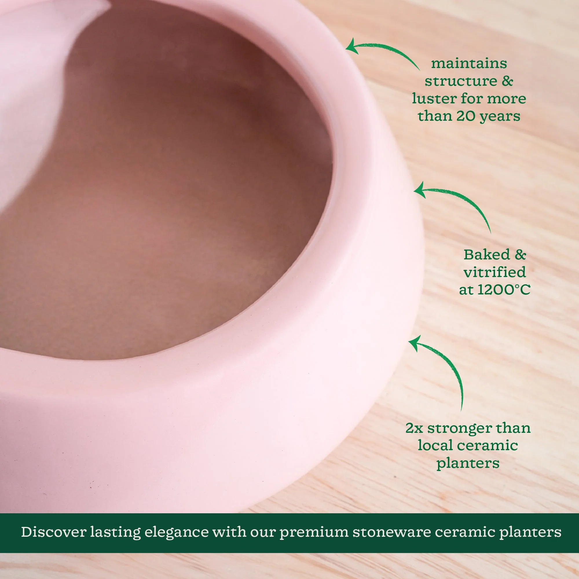 Tulip Fantasy Flat Ceramic Planter - Image 45