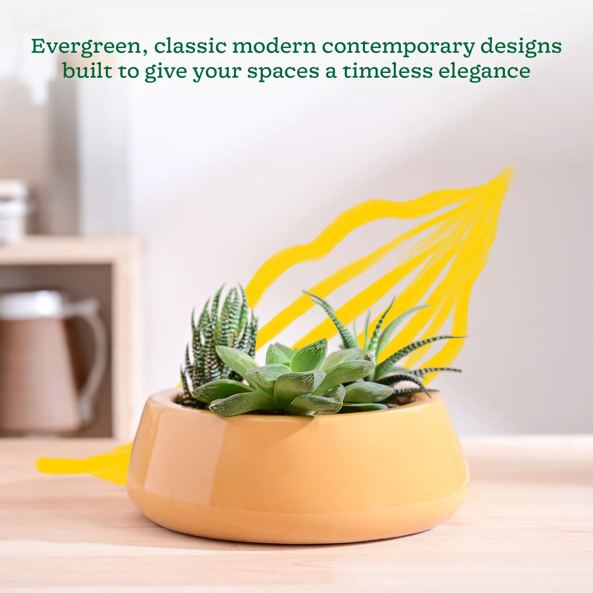 Tulip Fantasy Flat Ceramic Planter - Image 50
