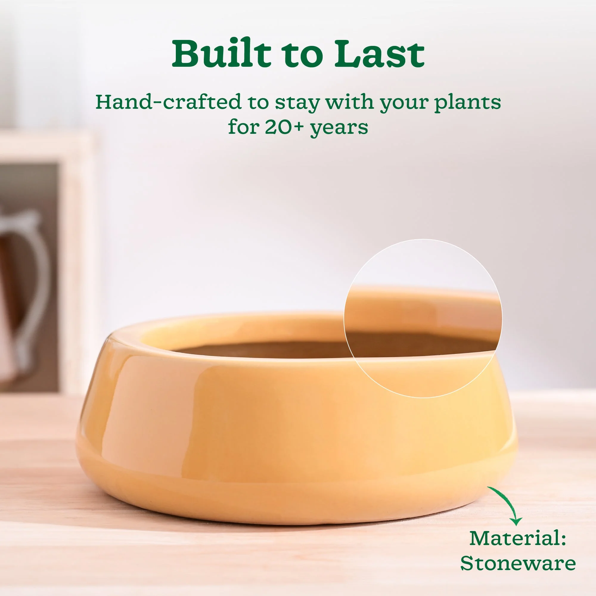 Tulip Fantasy Flat Ceramic Planter - Image 51