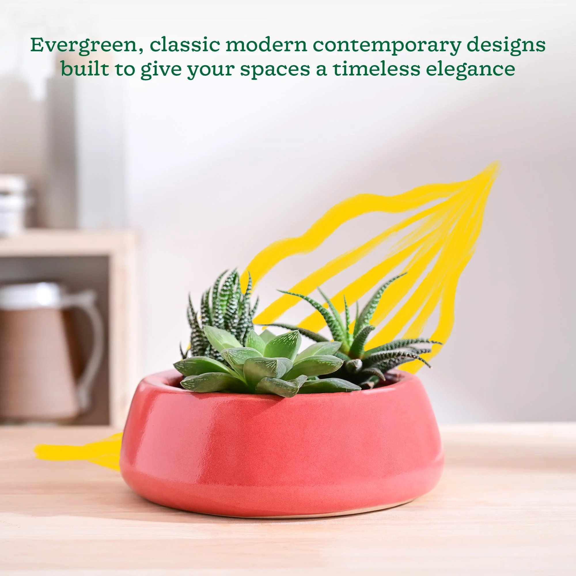 Tulip Fantasy Flat Ceramic Planter - Image 58