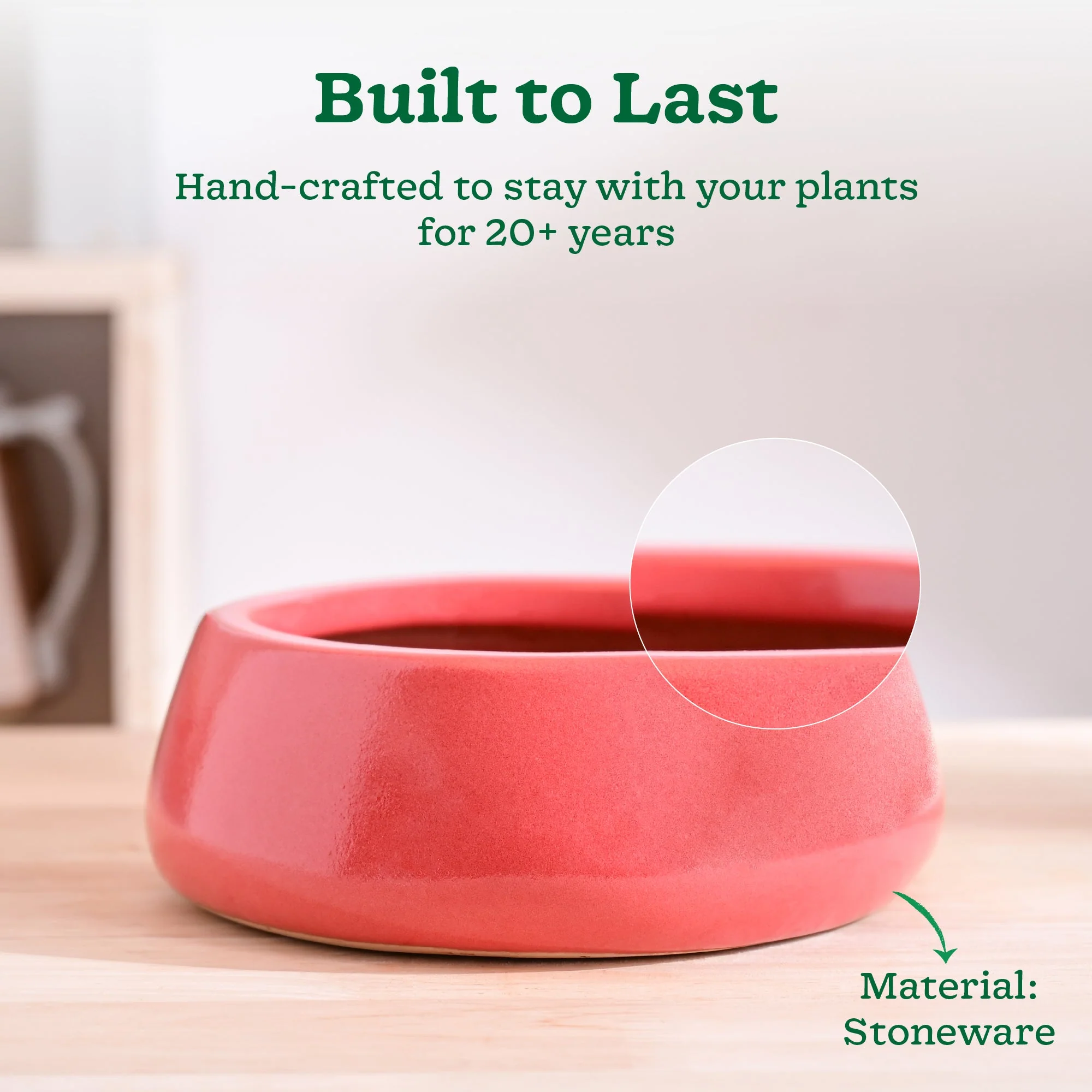 Tulip Fantasy Flat Ceramic Planter - Image 59