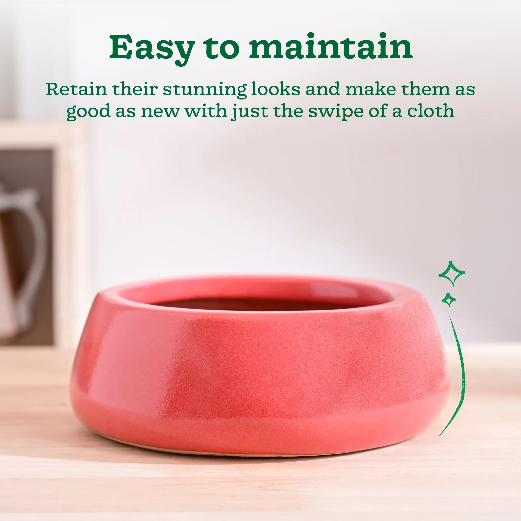 Tulip Fantasy Flat Ceramic Planter - Image 60