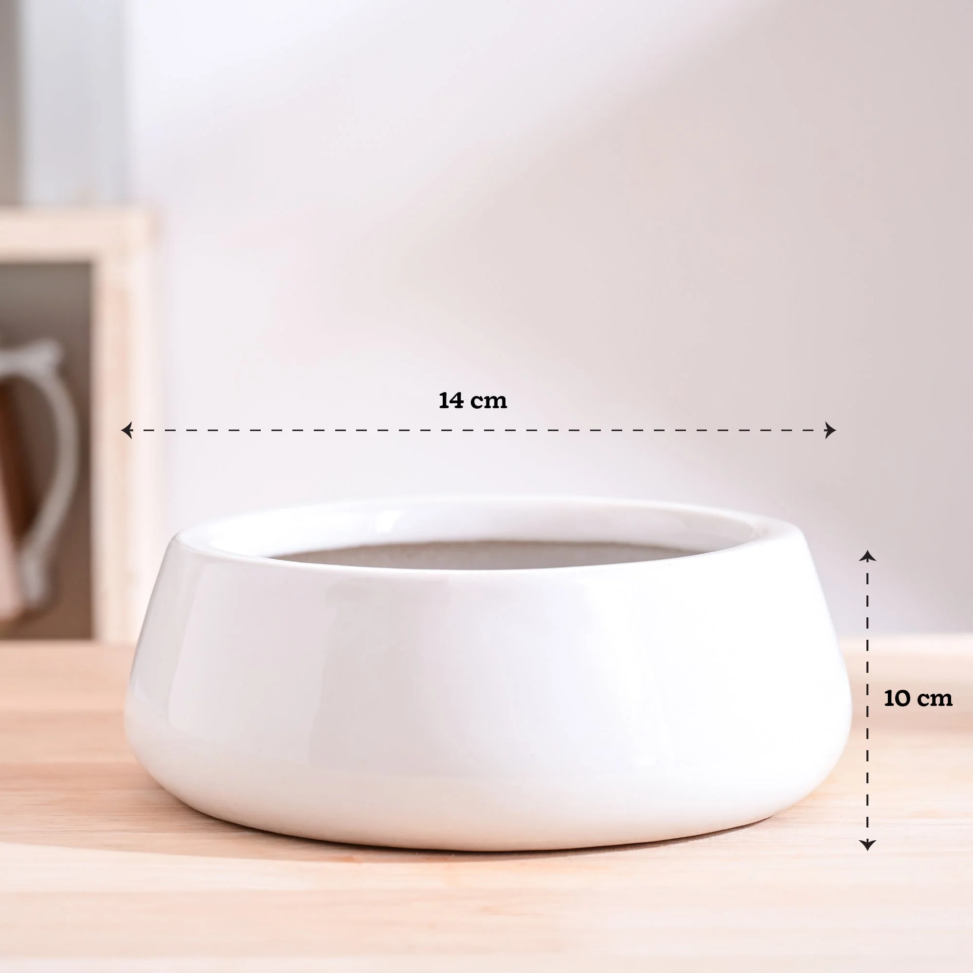 Tulip Fantasy Flat Ceramic Planter - Image 8