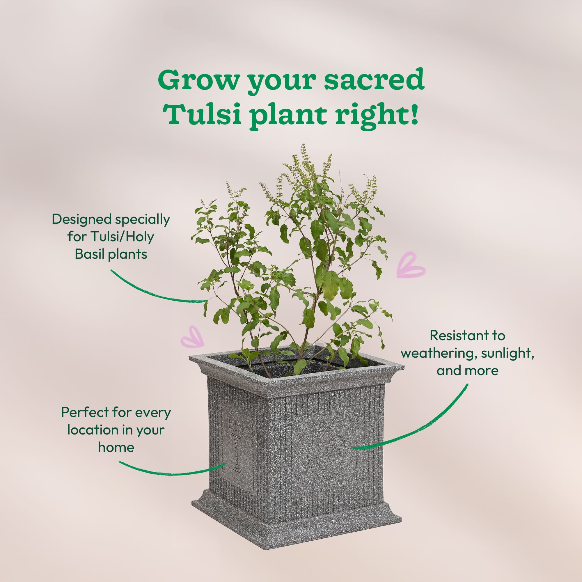 Tulsi Pot for Home - Image 19