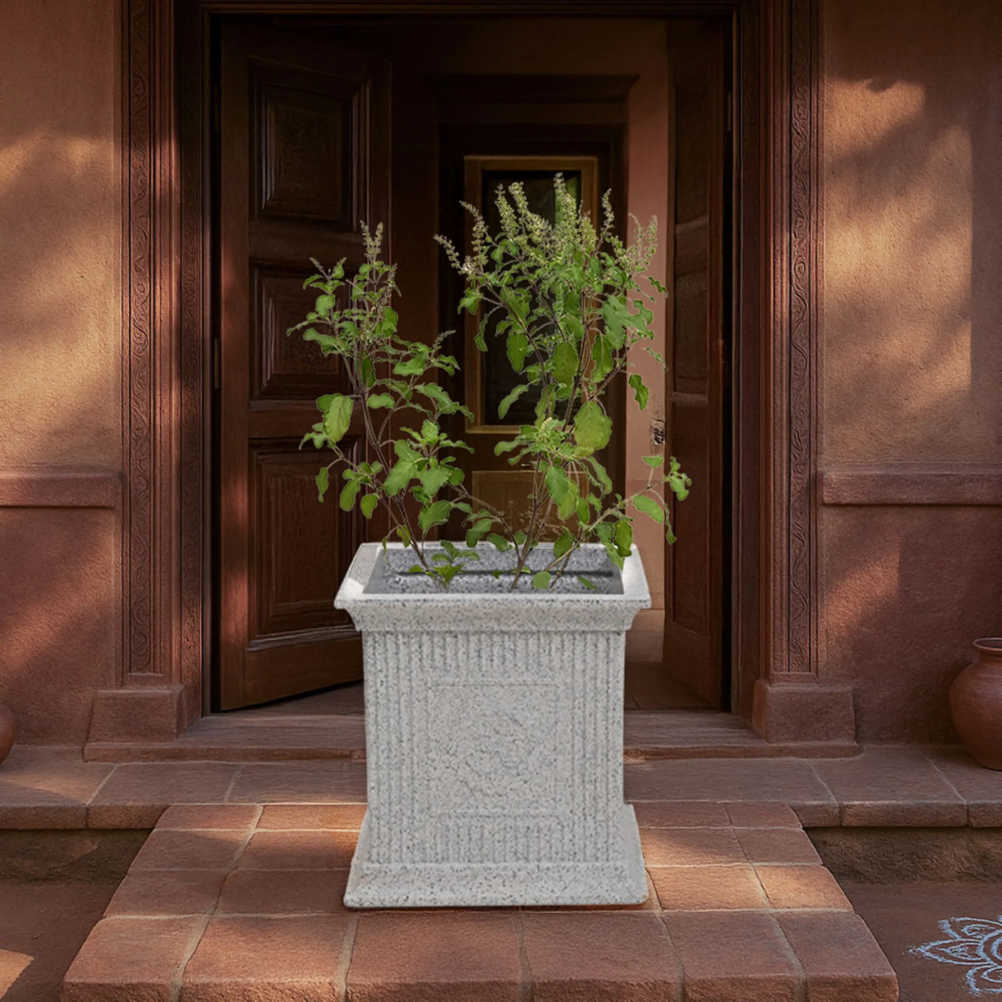 Tulsi Pot for Home - Image 9