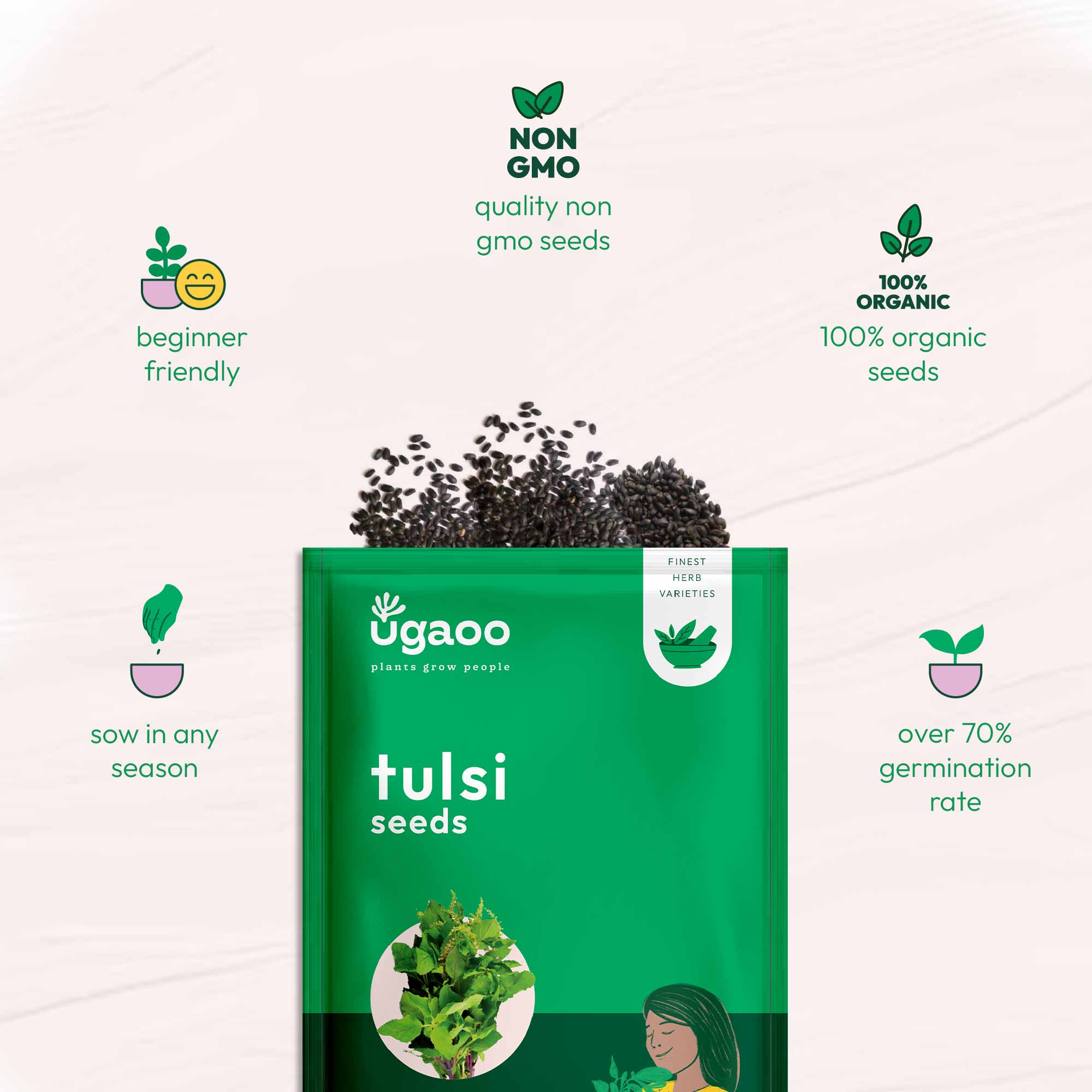 Tulsi Seeds (Holy Basil) - Image 6