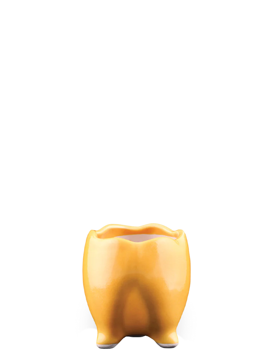 Tusker Ceramic Pot (4 Inch Diameter) - Image 9