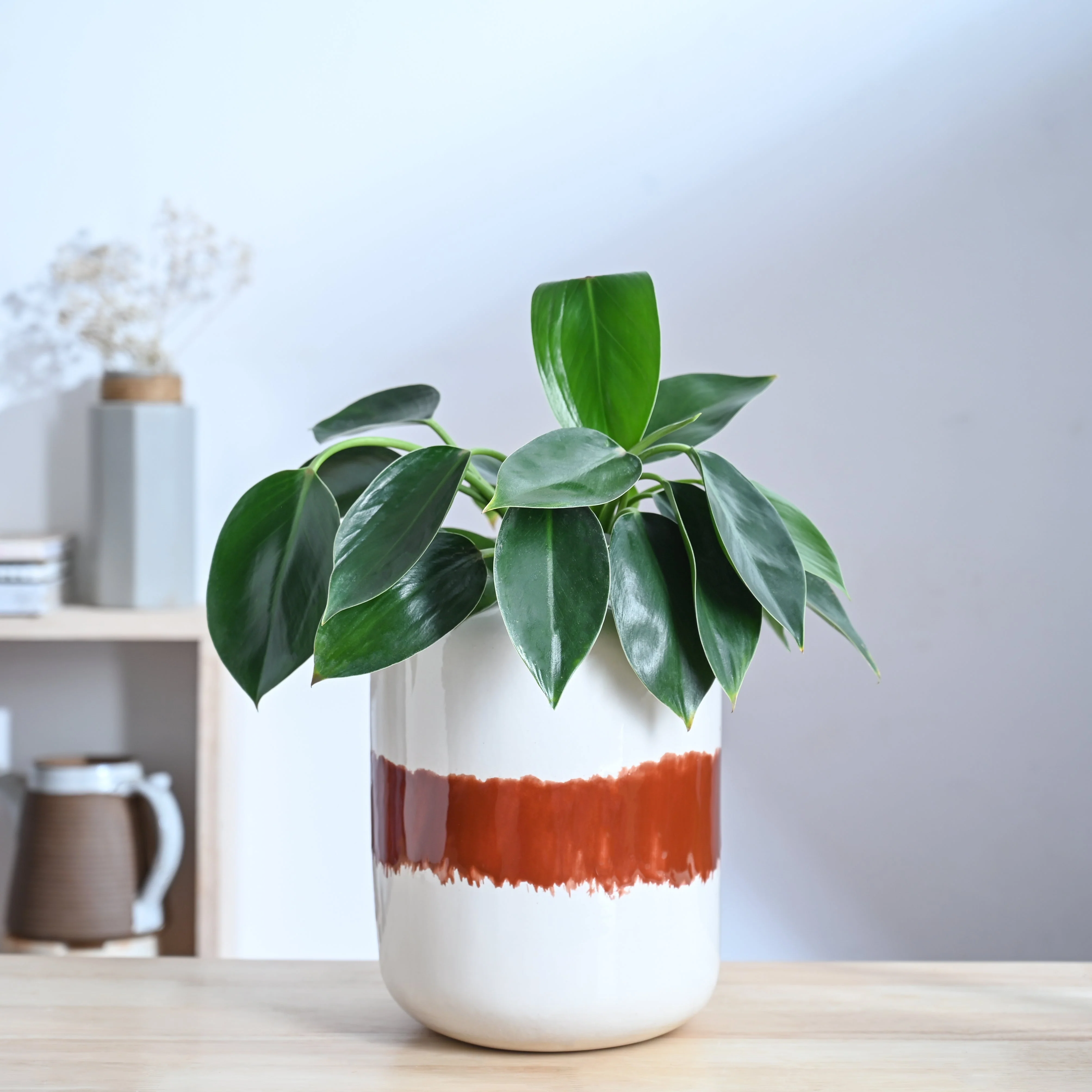 Twilight Clouds Ceramic Planter - Image 9
