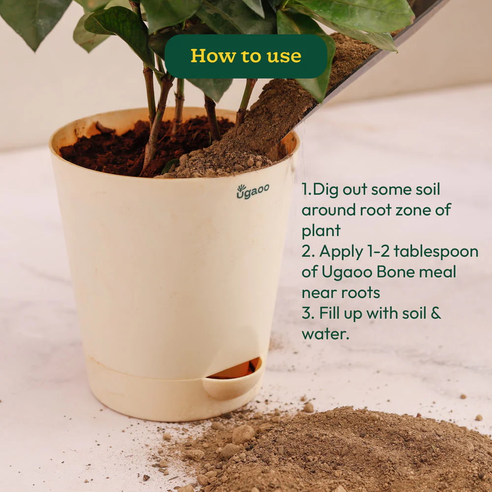 Ugaoo Bone Meal - 1 kg - Image 4
