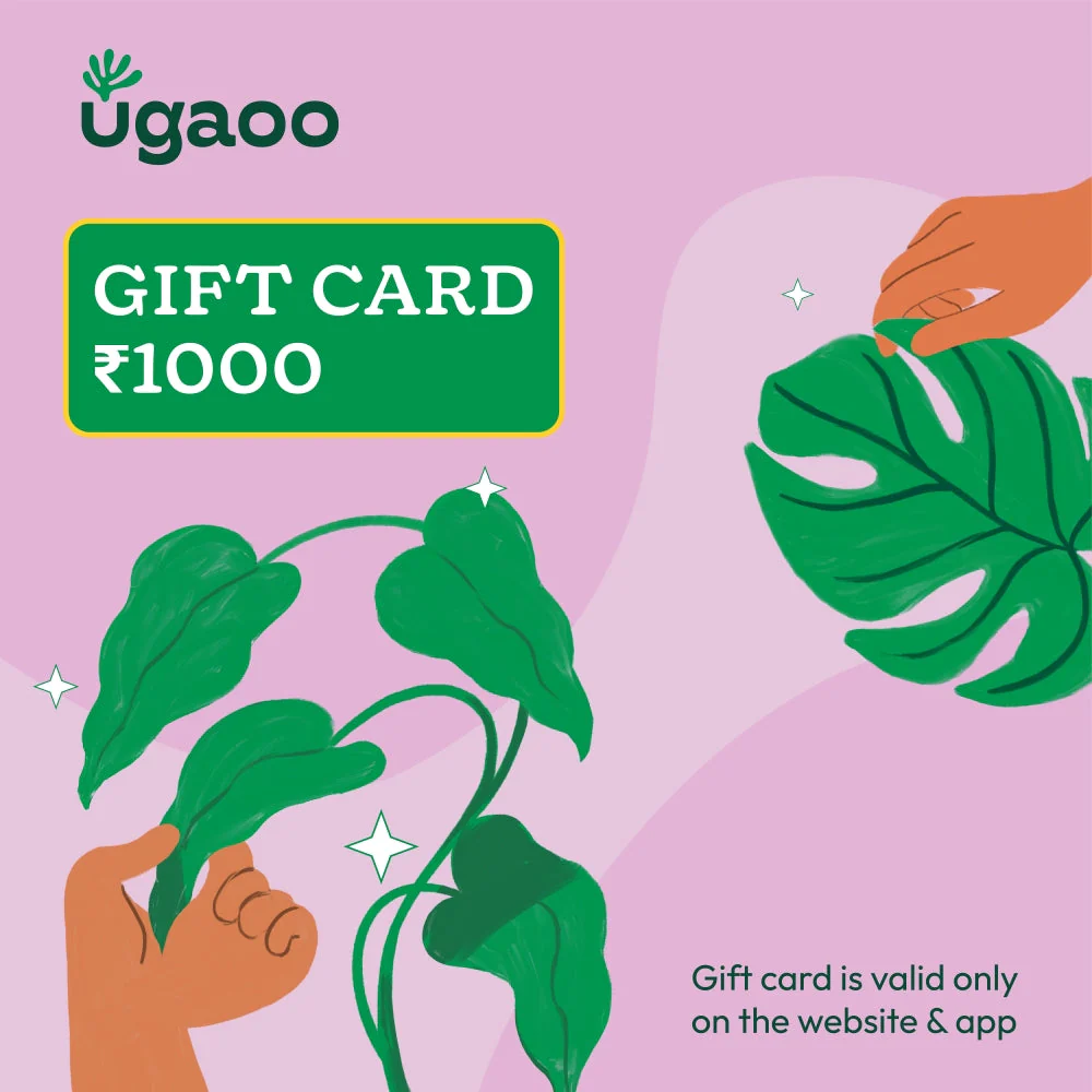 Ugaoo E-Gift Card - Image 2