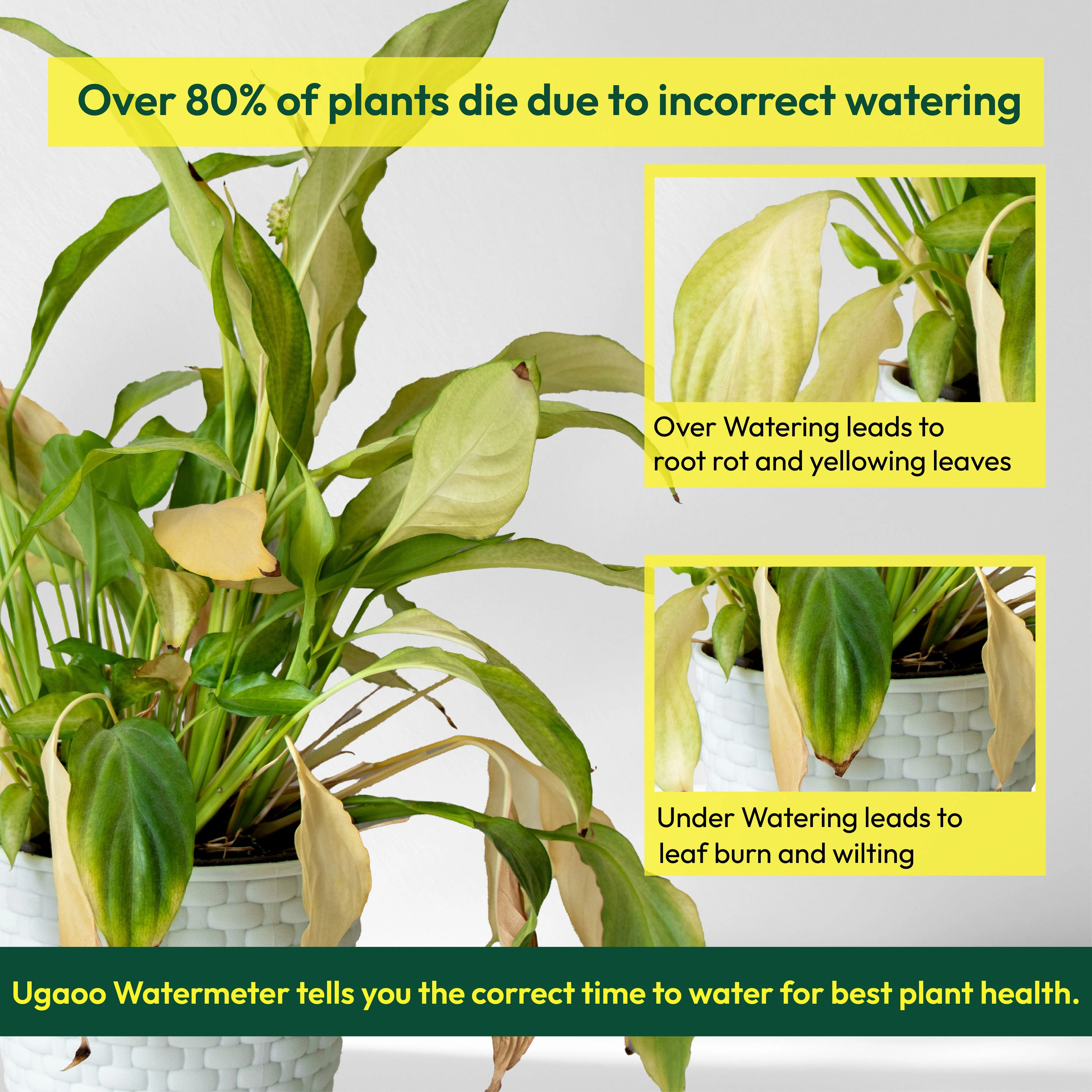 Sustee Watermeter - Image 4