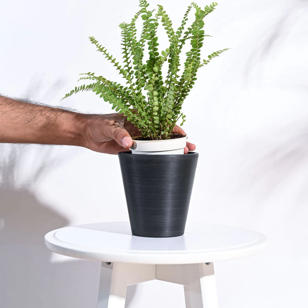 Venice Planter - Image 5