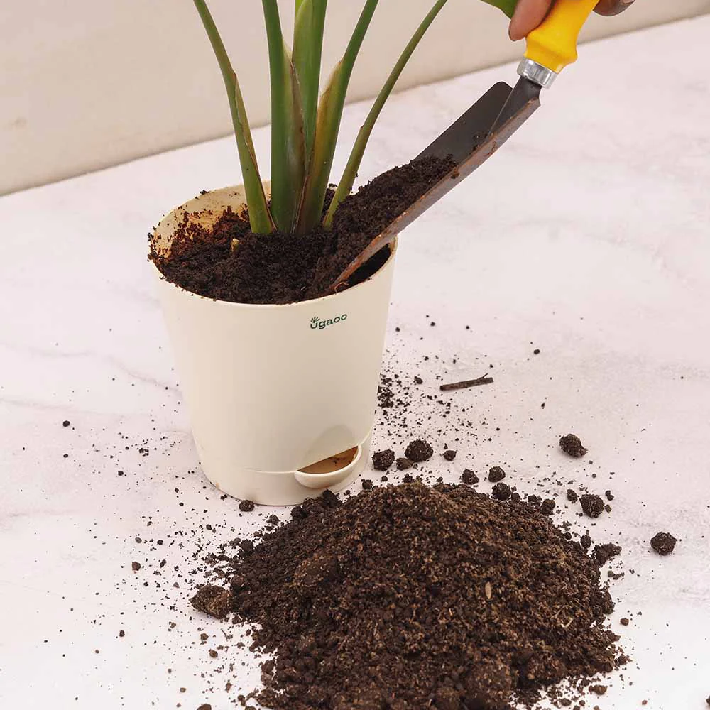 Vermicompost - Image 7