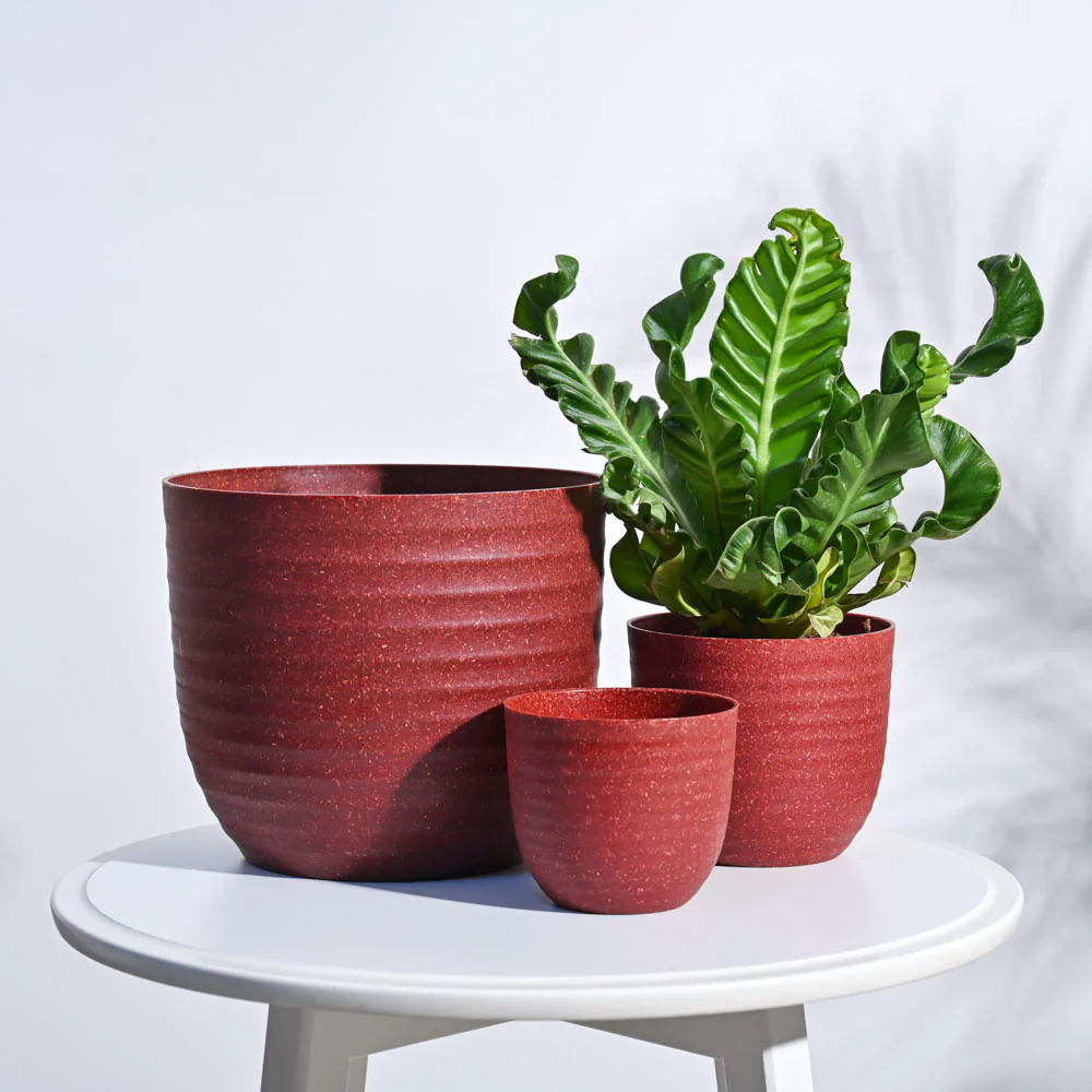 Verona Eco Planter - Set of 3 - Image 22