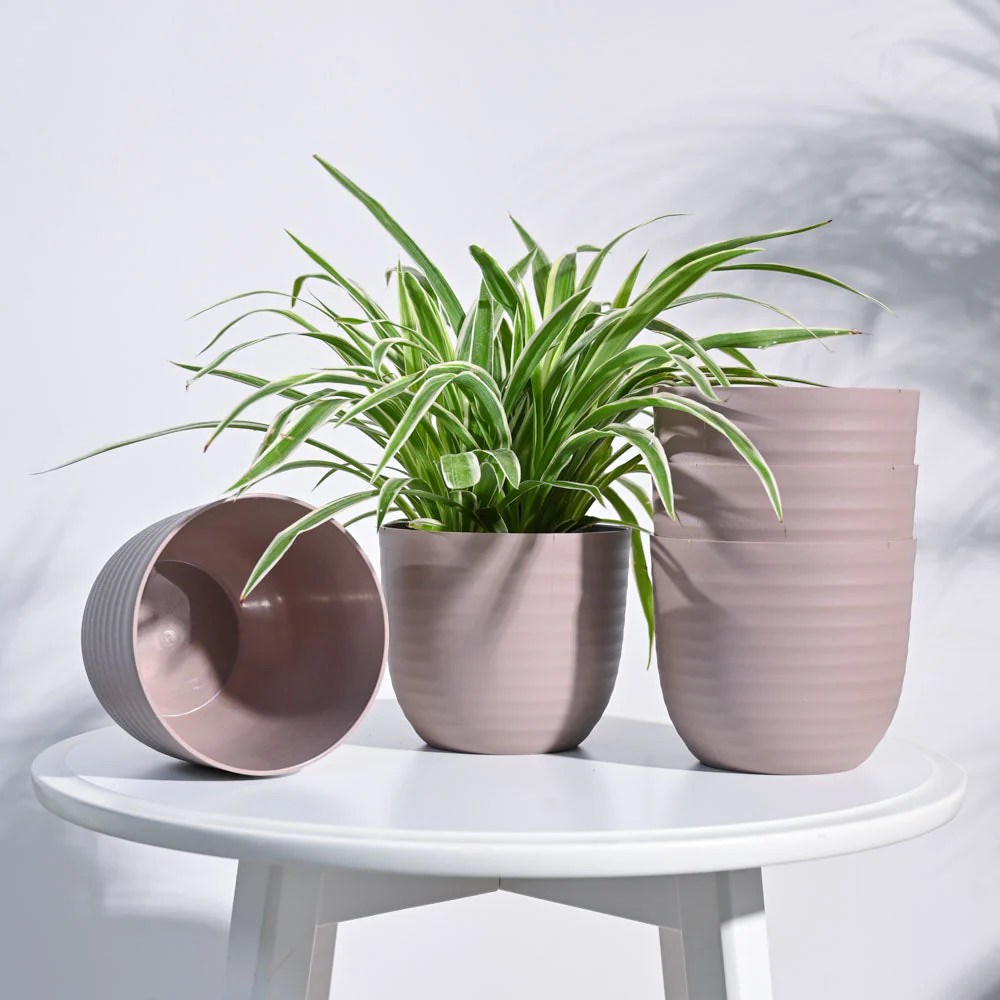 Verona Planter - Image 21