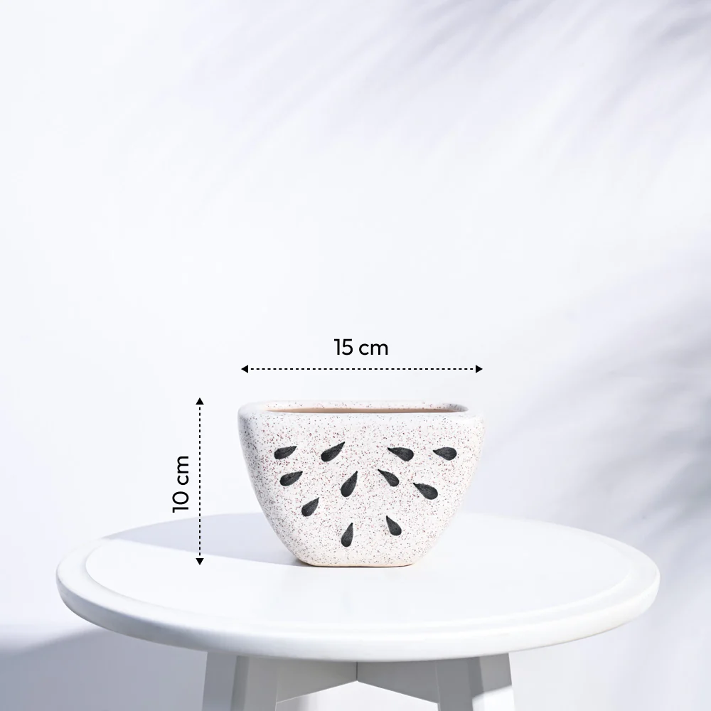 Watermelon Ceramic Planter (5.5 Inch Width) - Image 11